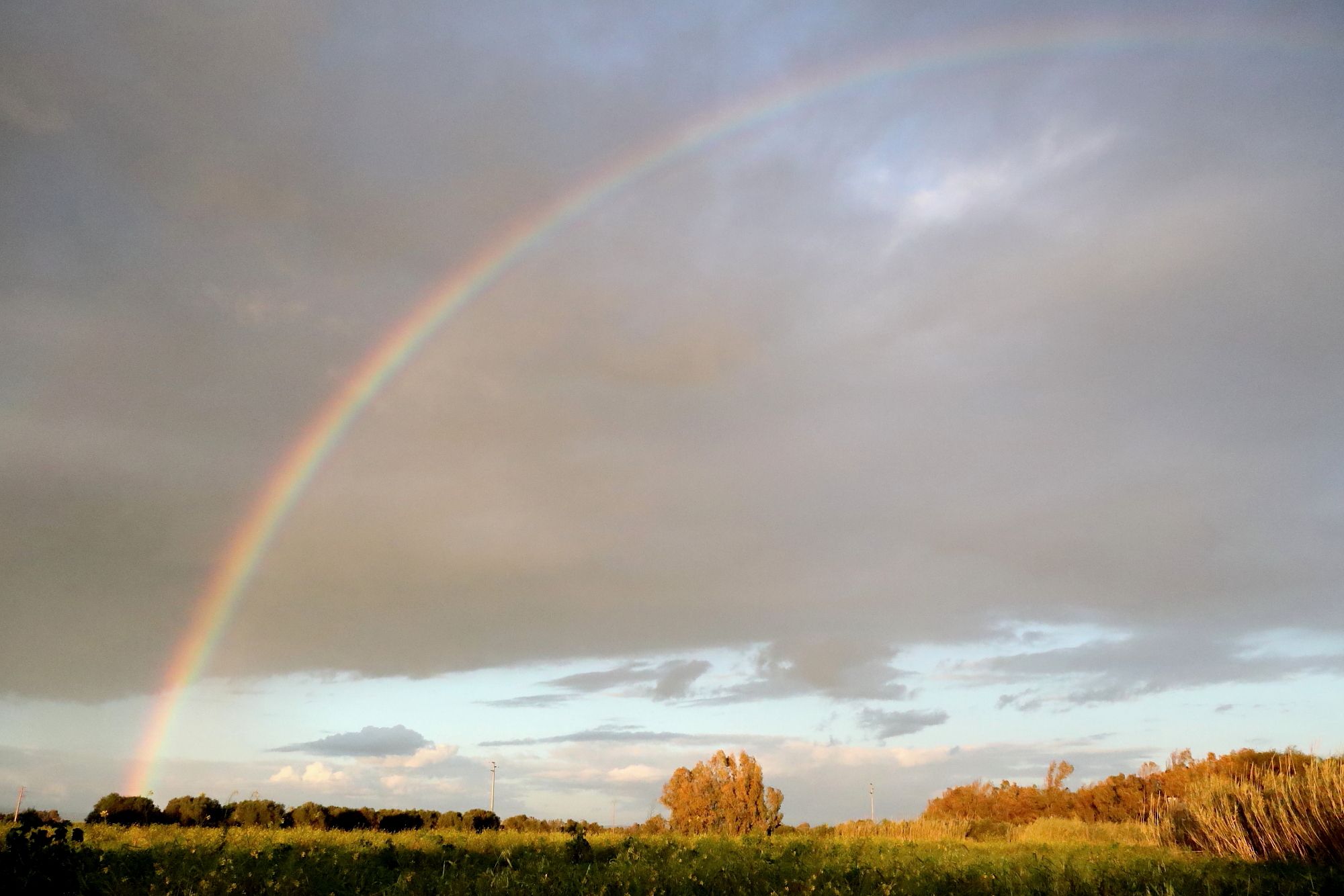 Community photo by Roberto Ortu | Cabras, Sardinia, Italy
