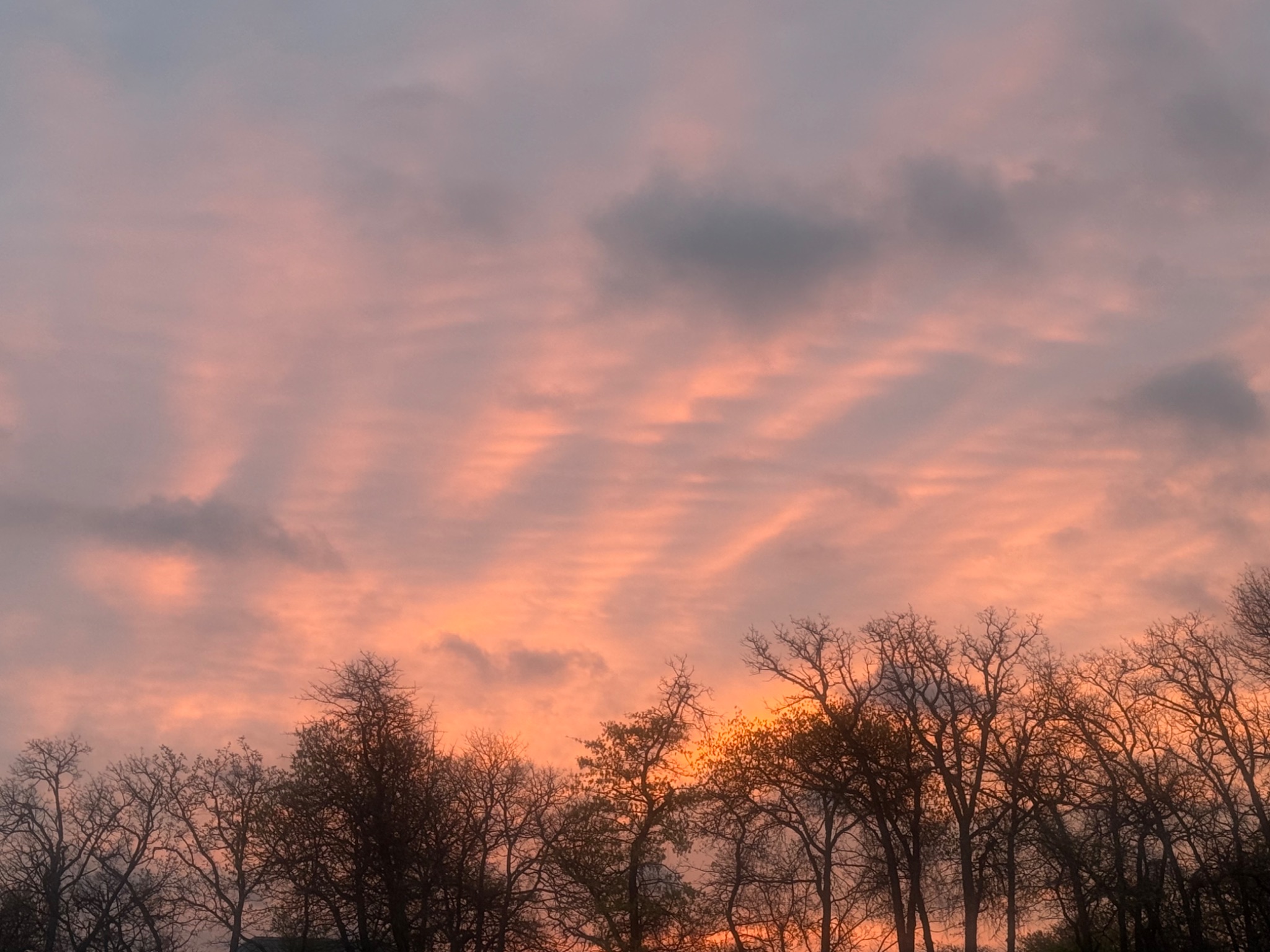 Community photo by Frank Lu | Arlington, Texas, US