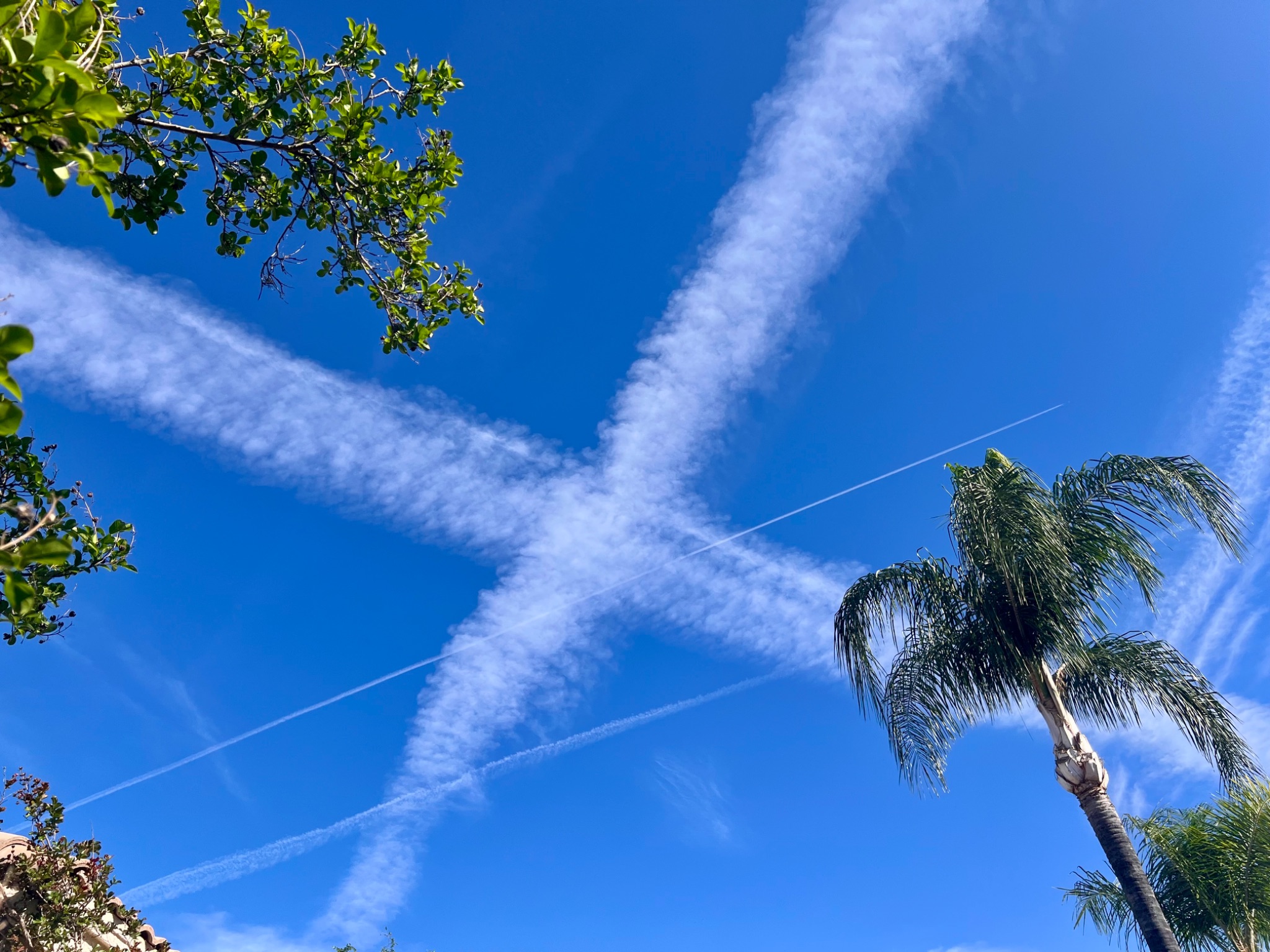 Community photo by Dolores