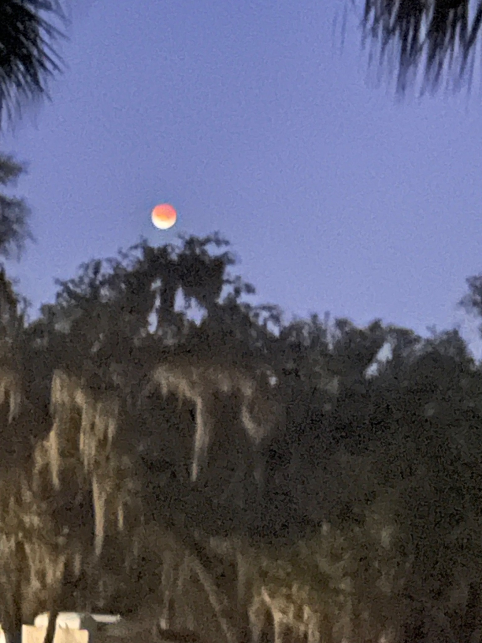 Community photo by Chris