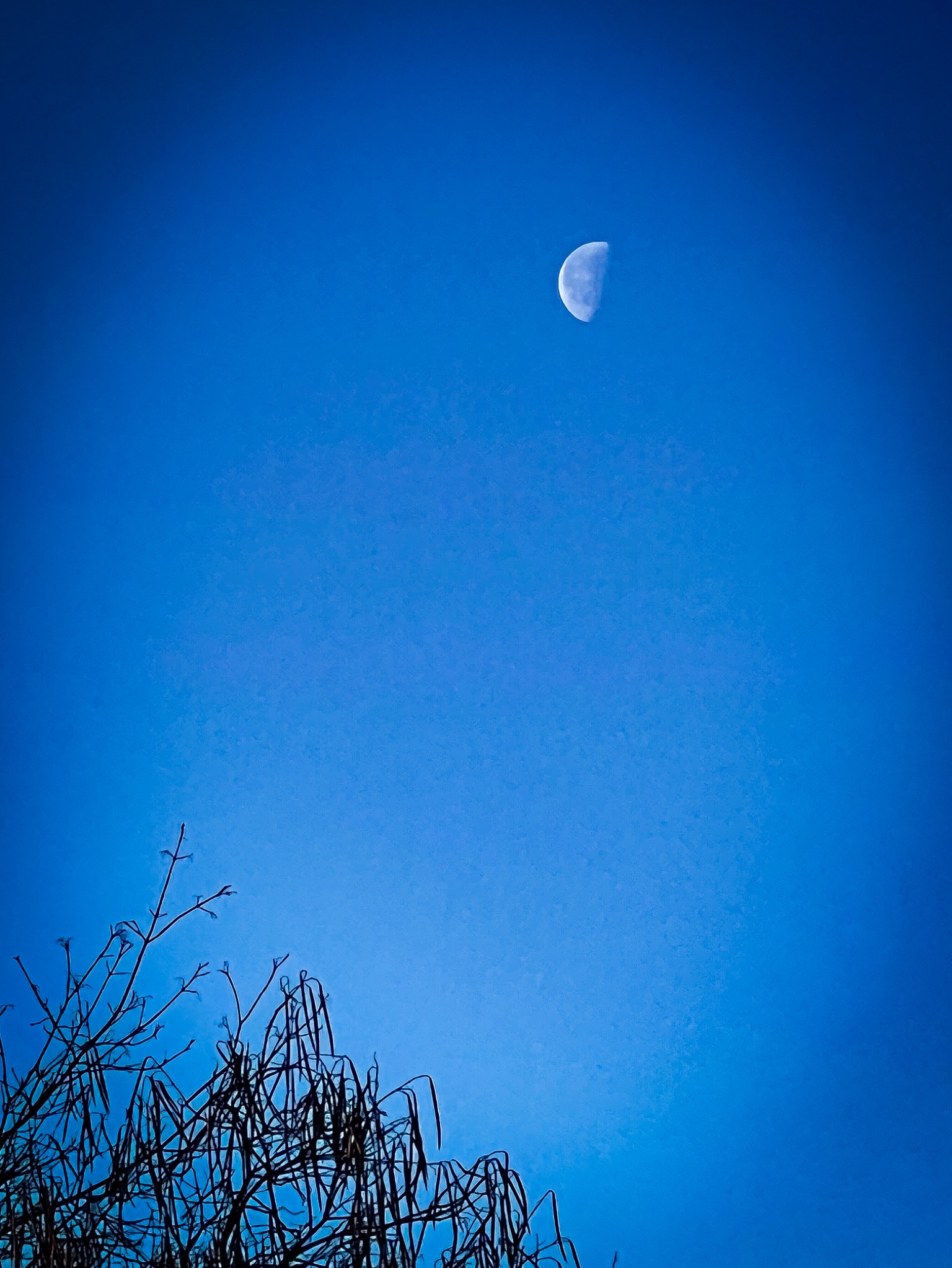 Community photo by Stephen