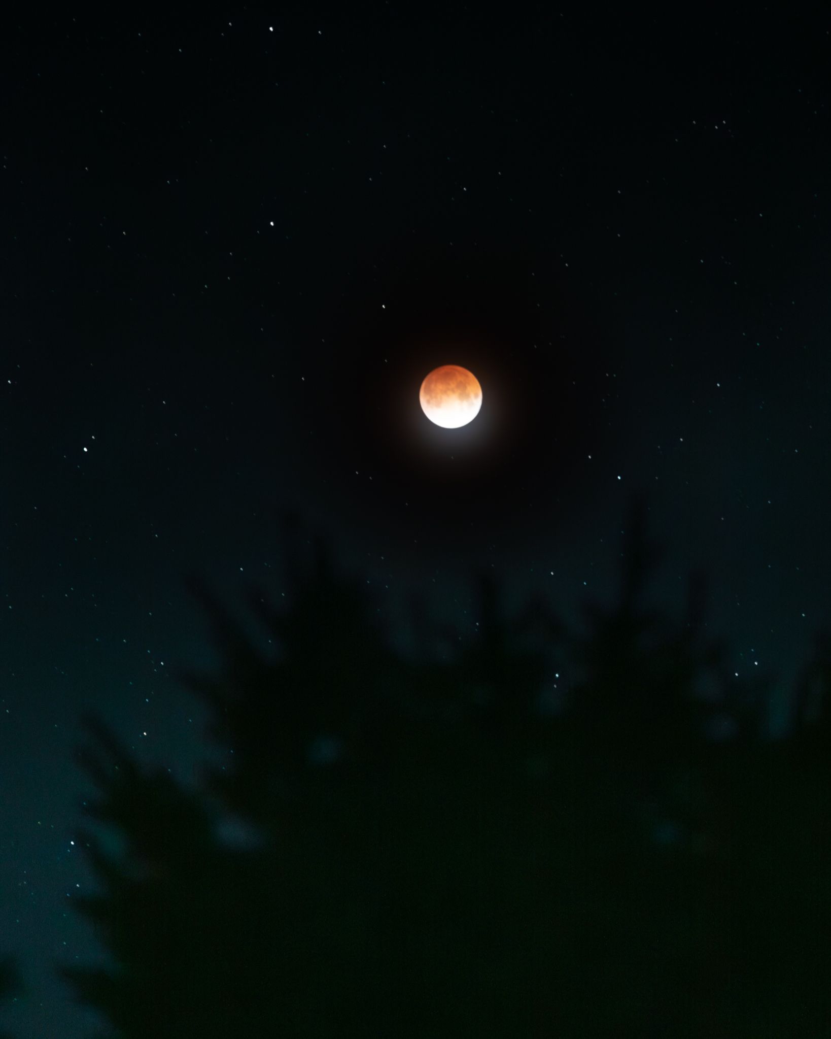 Community photo by Susan