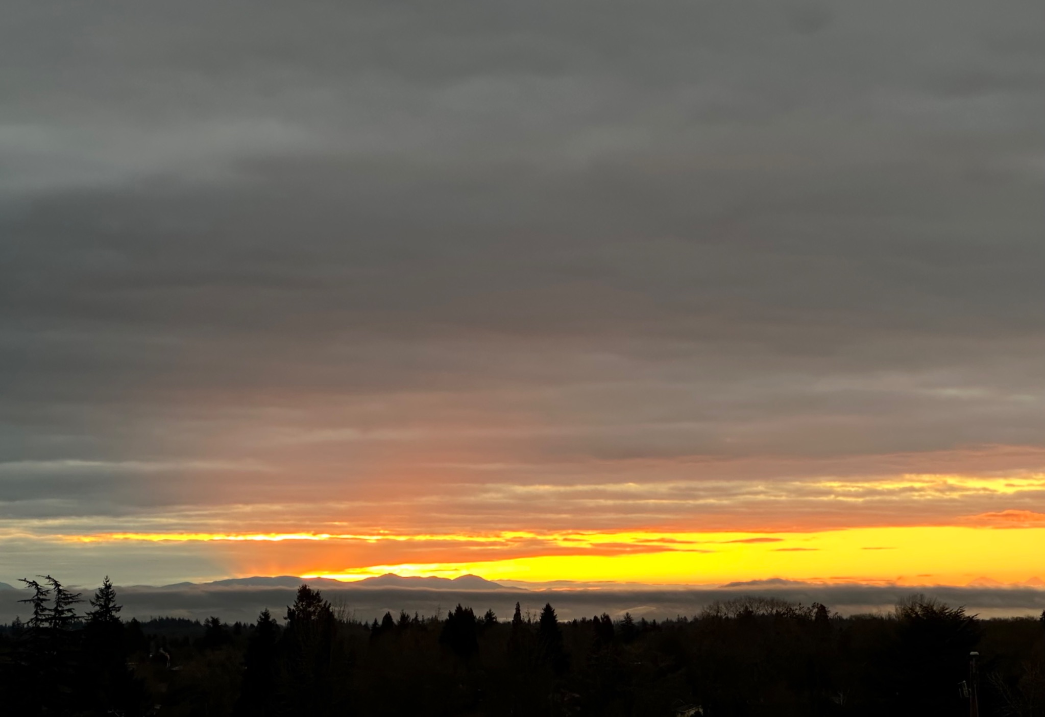 Community photo by Victoria