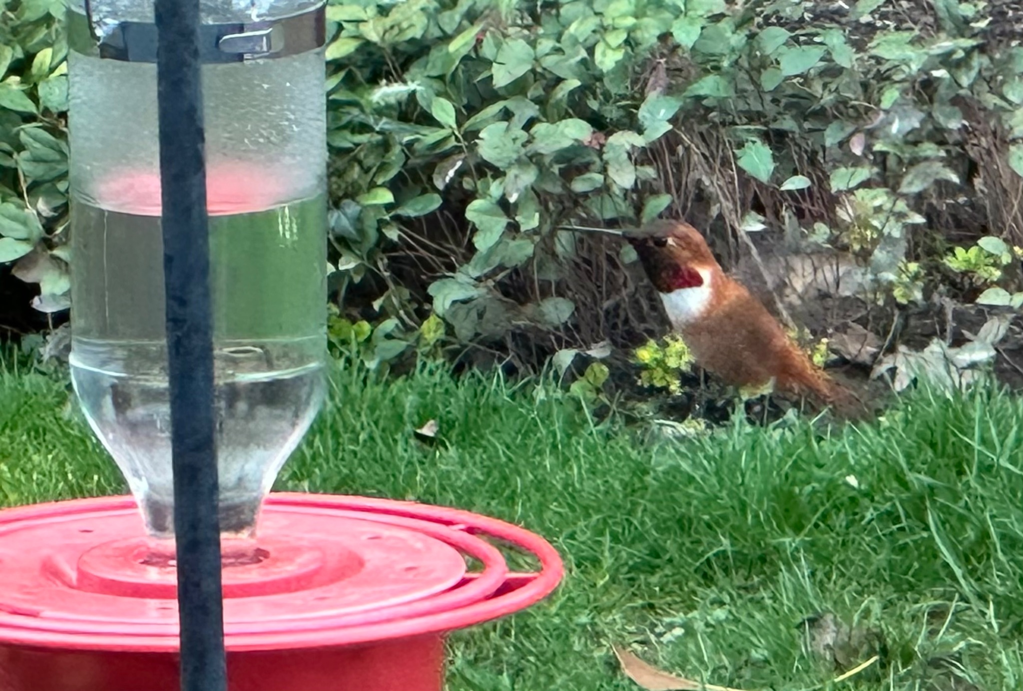 Community photo by Victoria Bryhan | Corvallis, Oregon