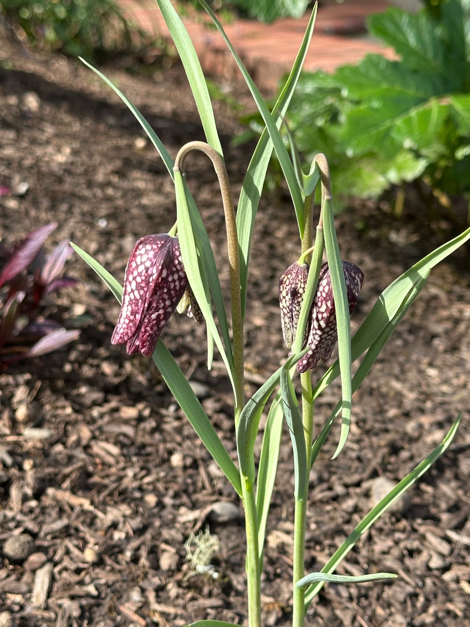 Community photo by Victoria