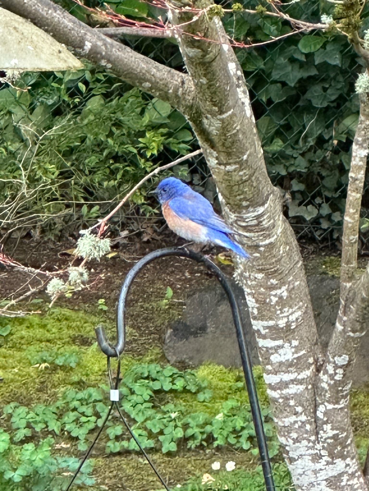 Community photo by Victoria