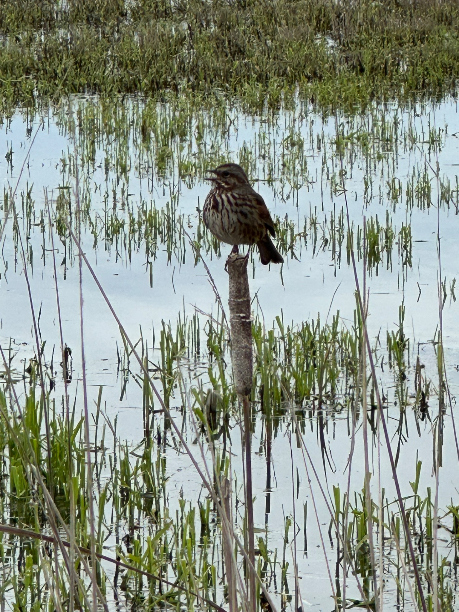 Community photo by Victoria