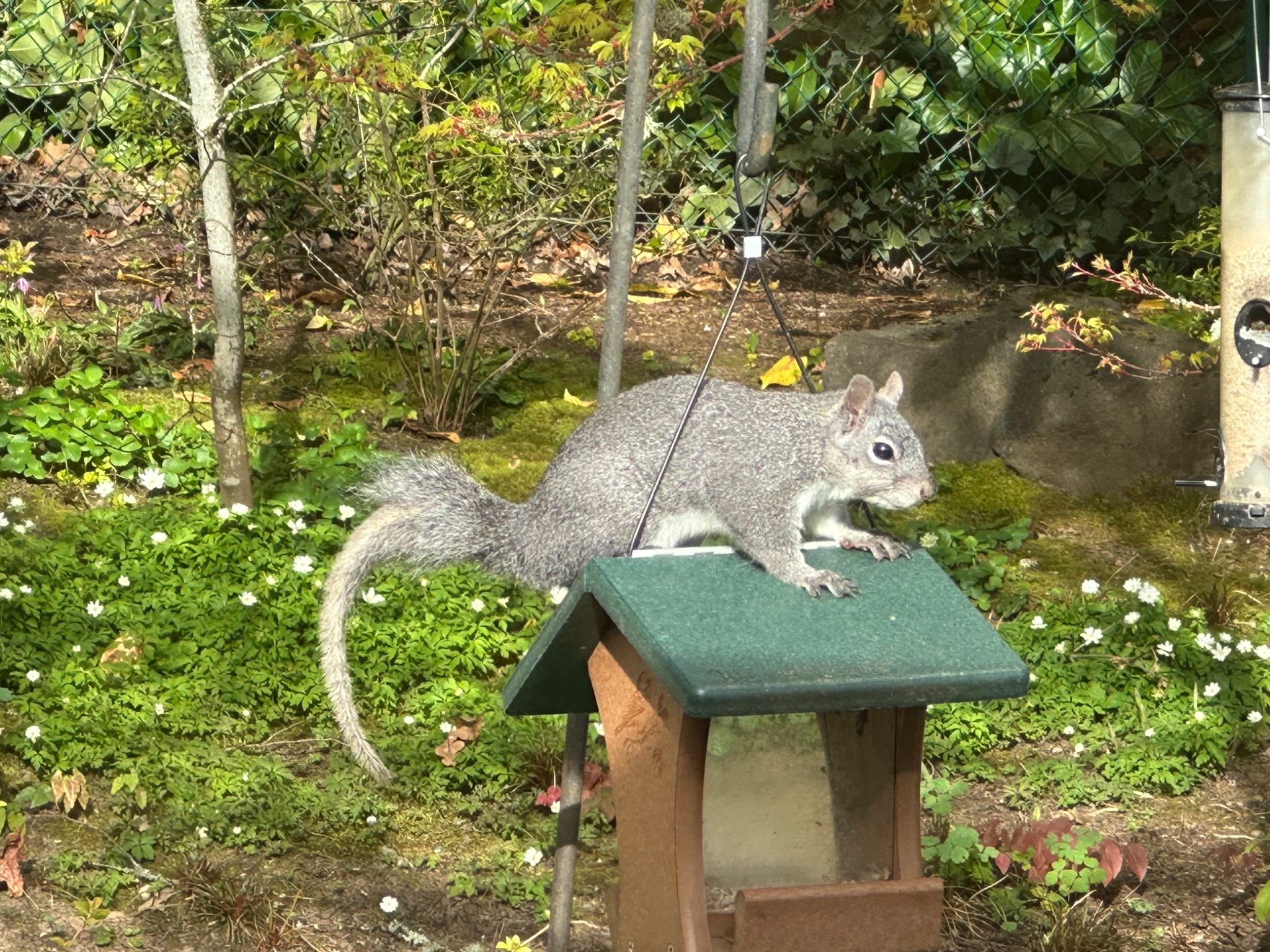 Community photo by Victoria Bryhan | Corvallis, Oregon