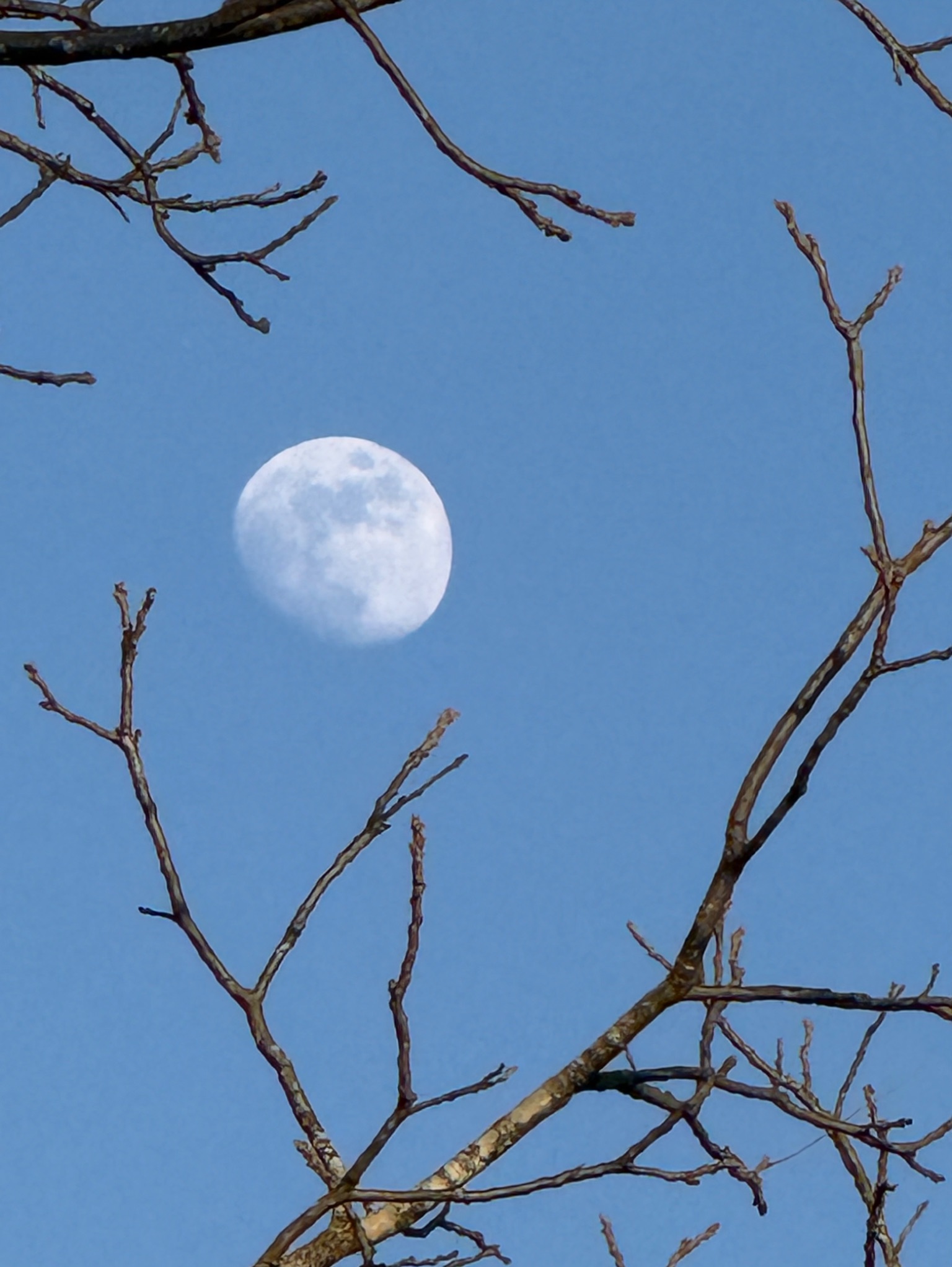 Community photo by Nancy