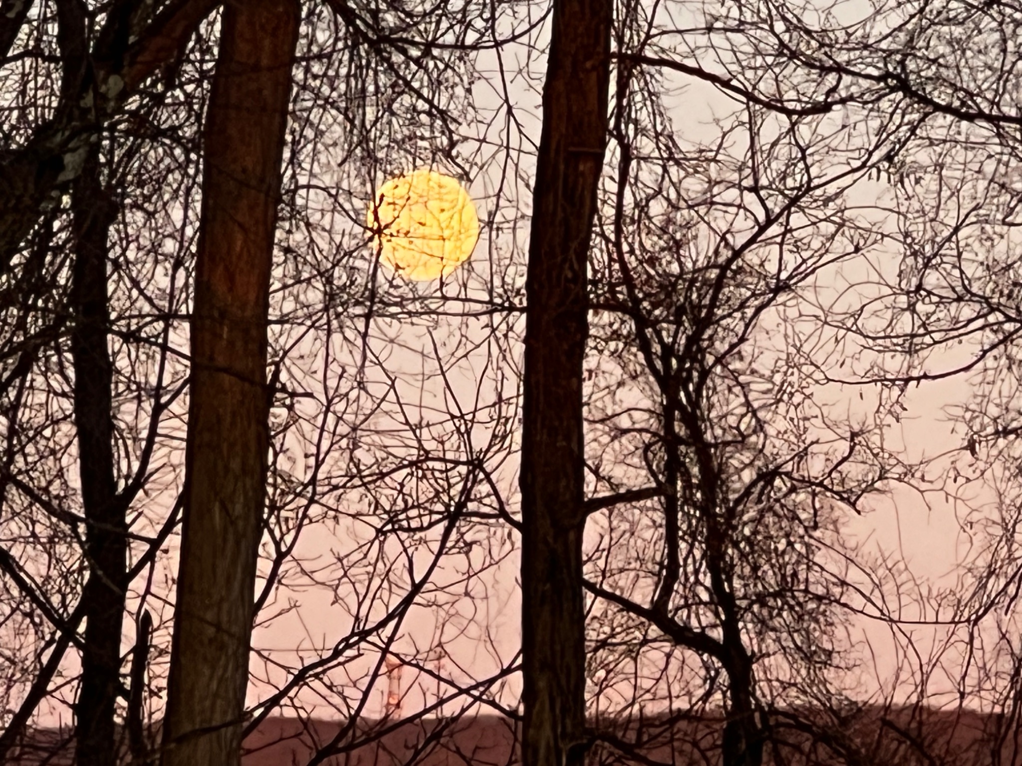 Community photo by Sudhir