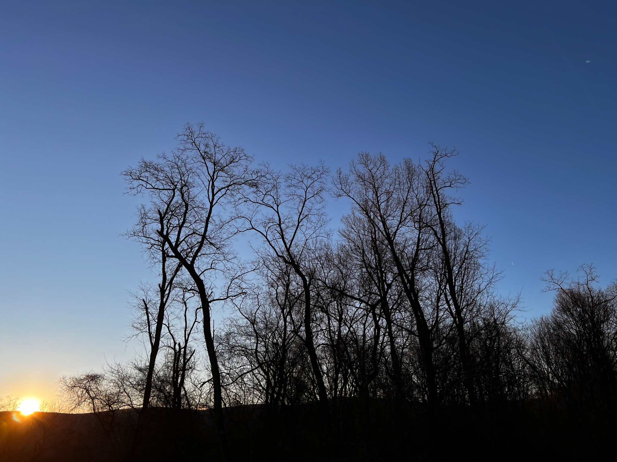 Community photo by Sudhir Sharma | Stormville, NY