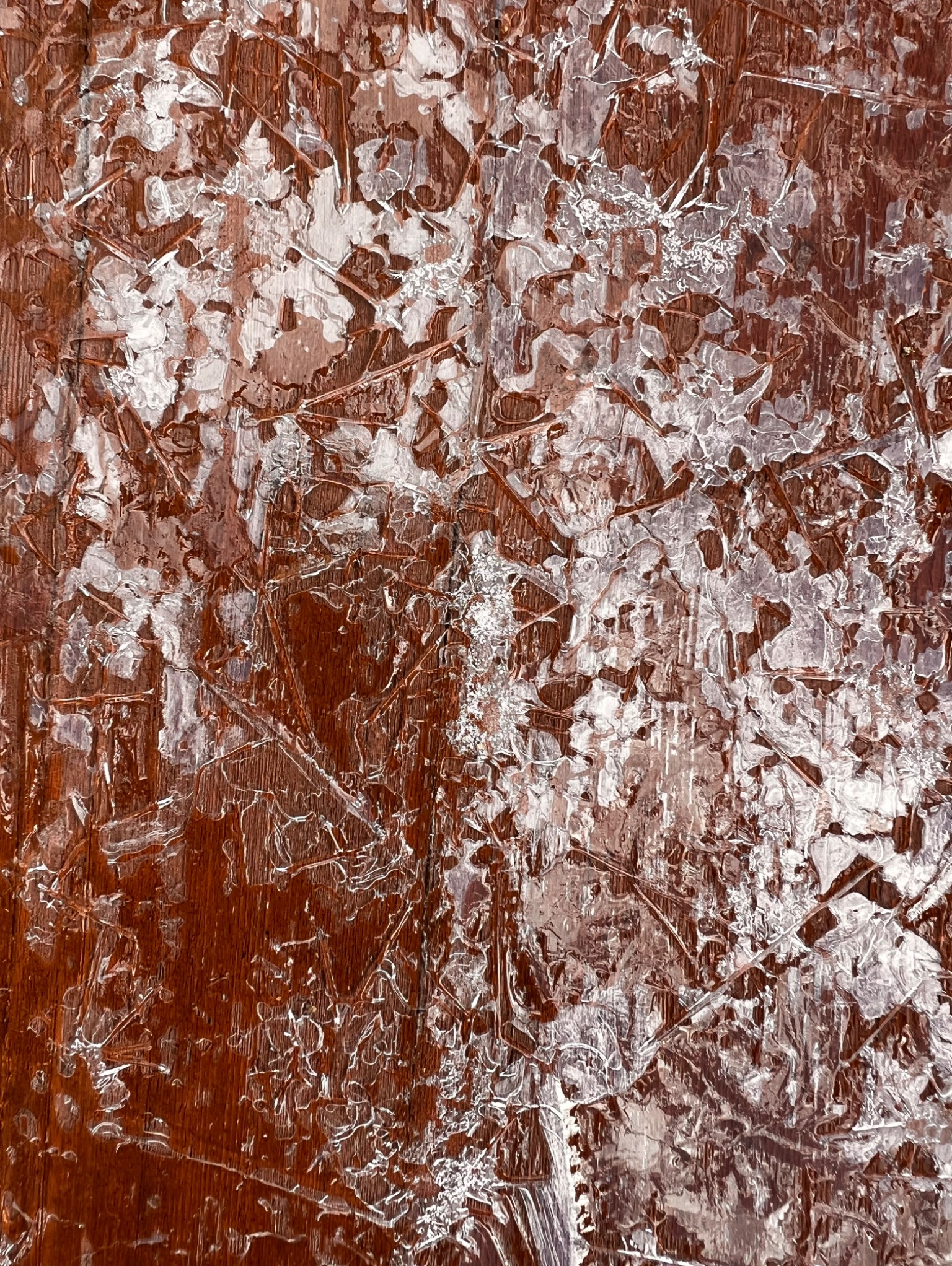 Community photo by Sudhir Sharma | Stormville, NY