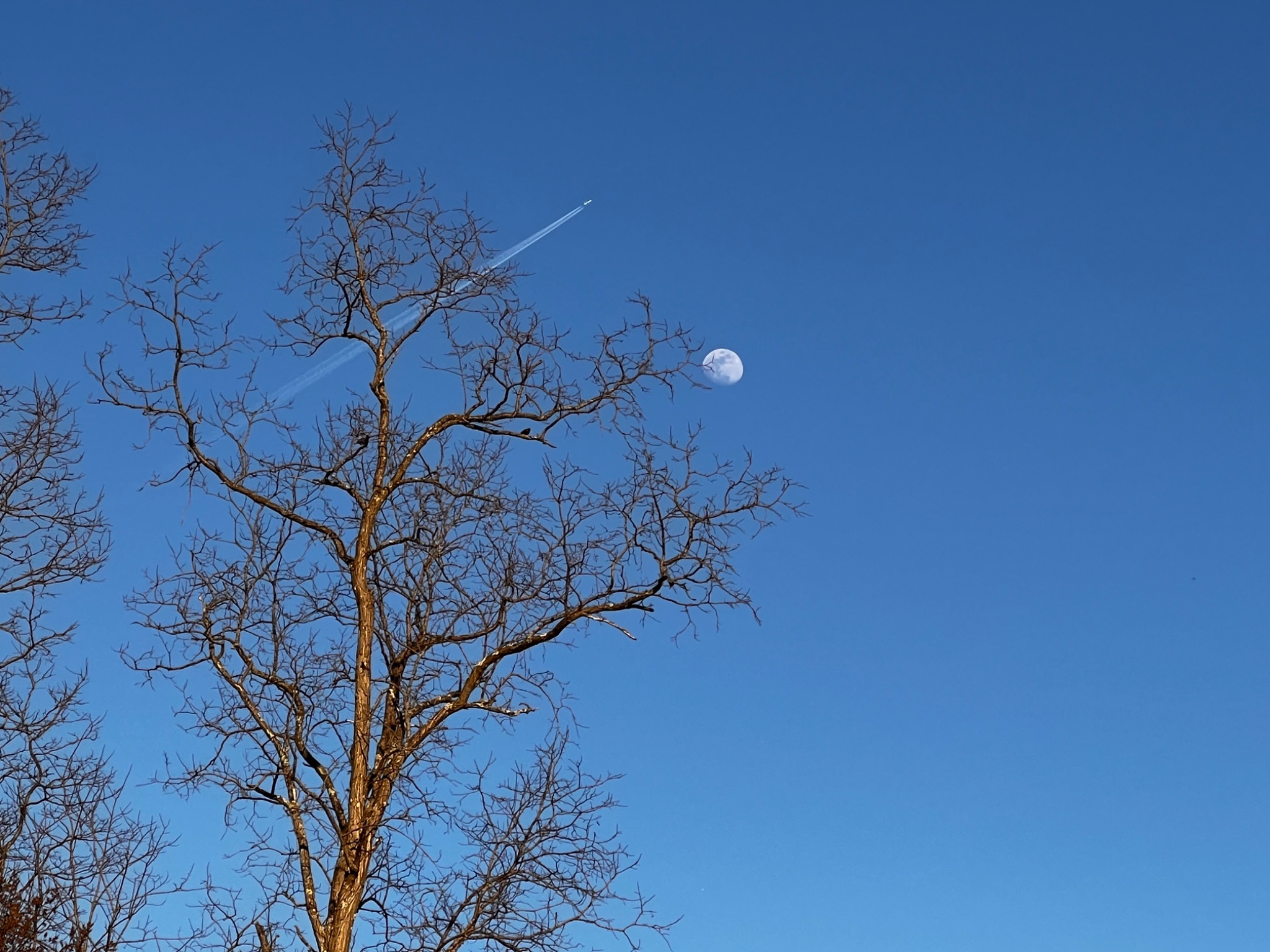 Community photo by Sudhir