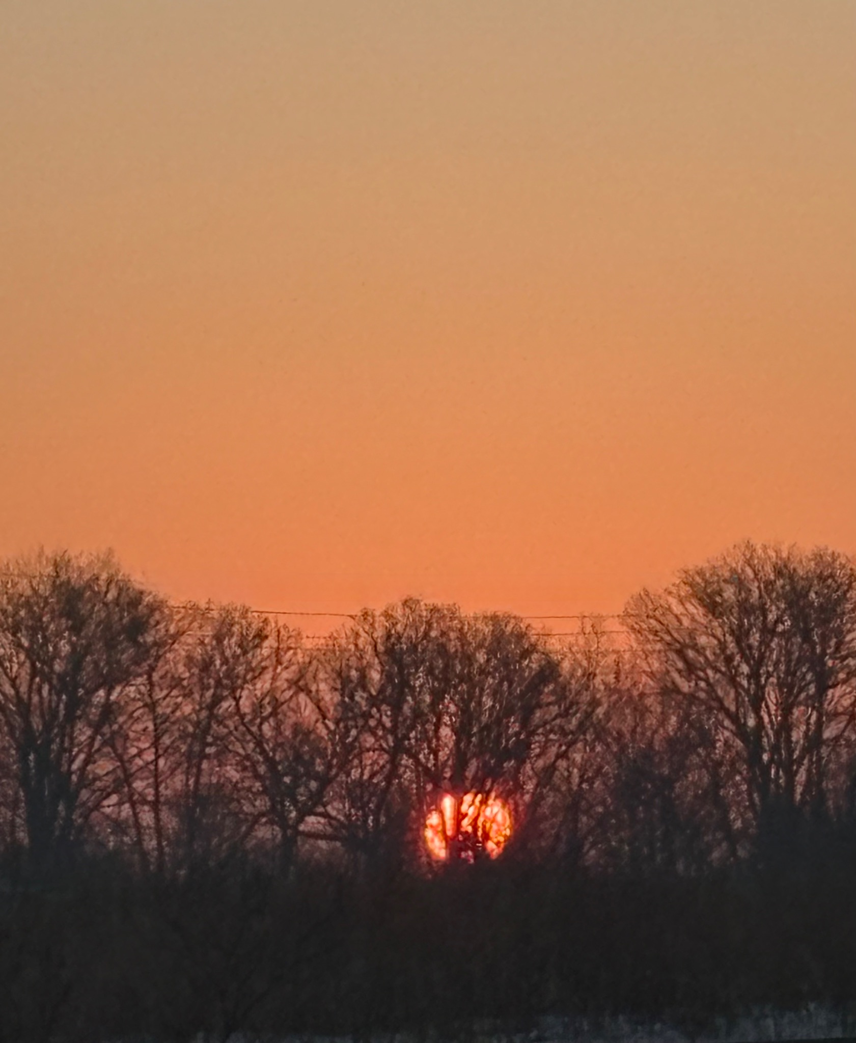 Community photo by Himanshu