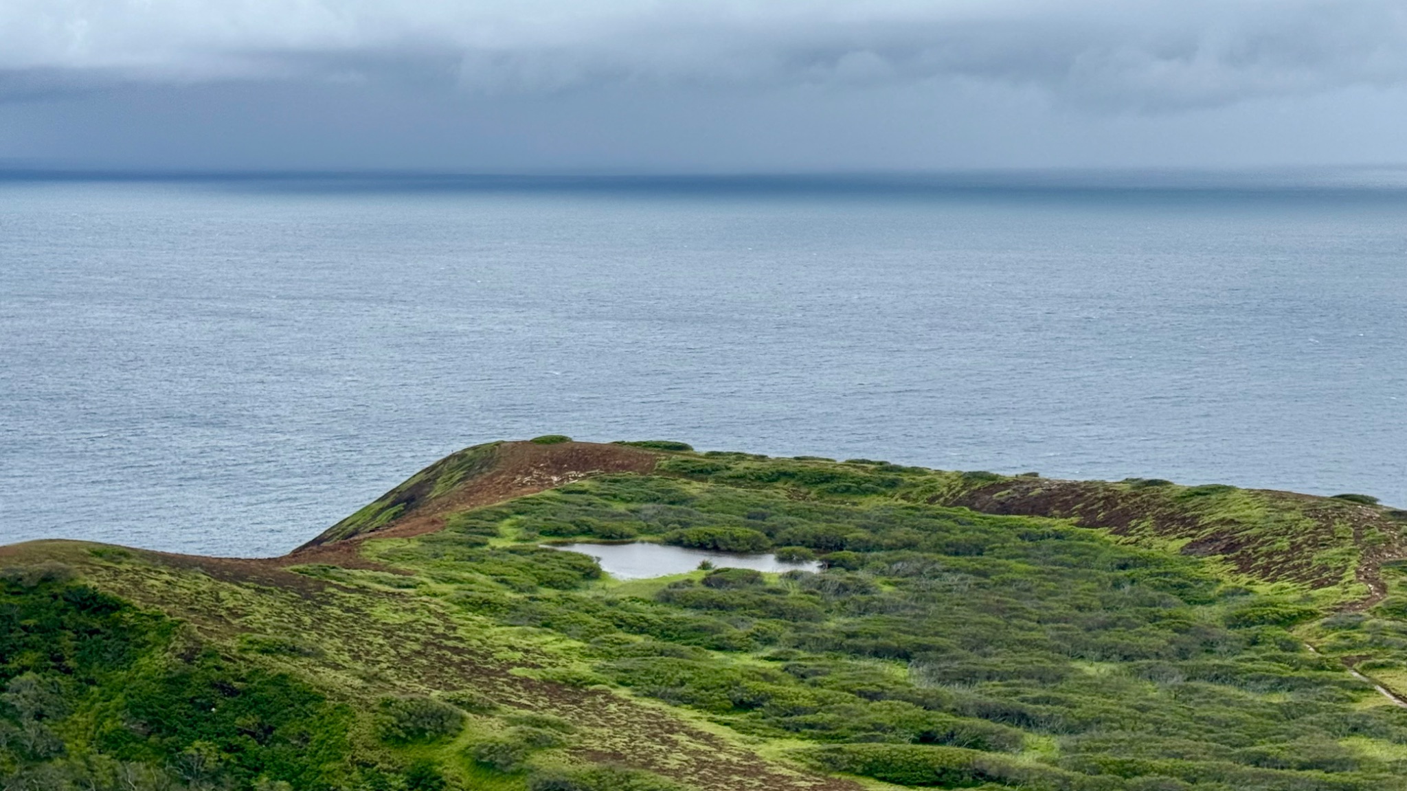 Community photo by Paul C. Peh | Honolulu, HI, USA