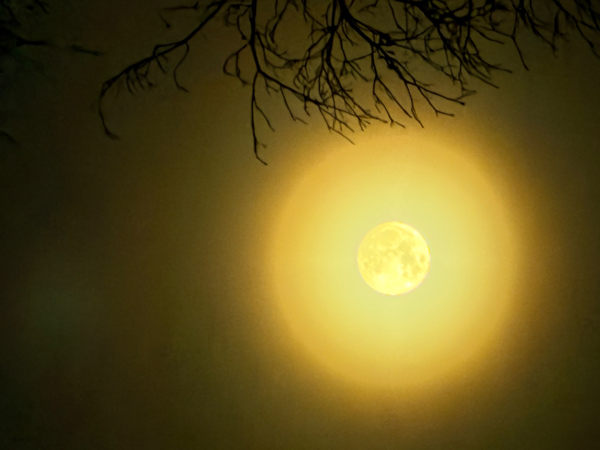 Community photo by Greg Redfern | Central VA