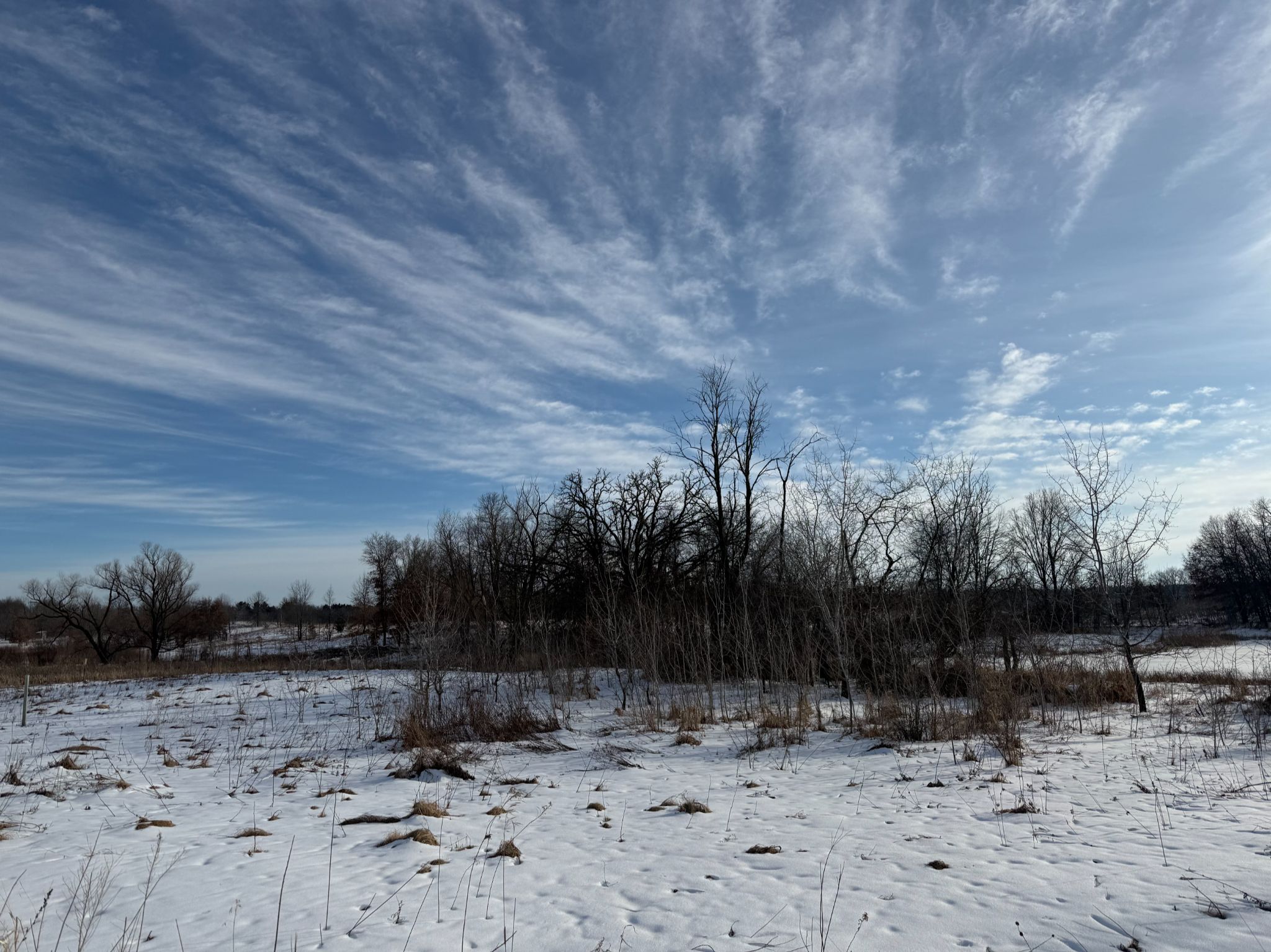 Community photo by Asha Prasad | Minnesota, USA