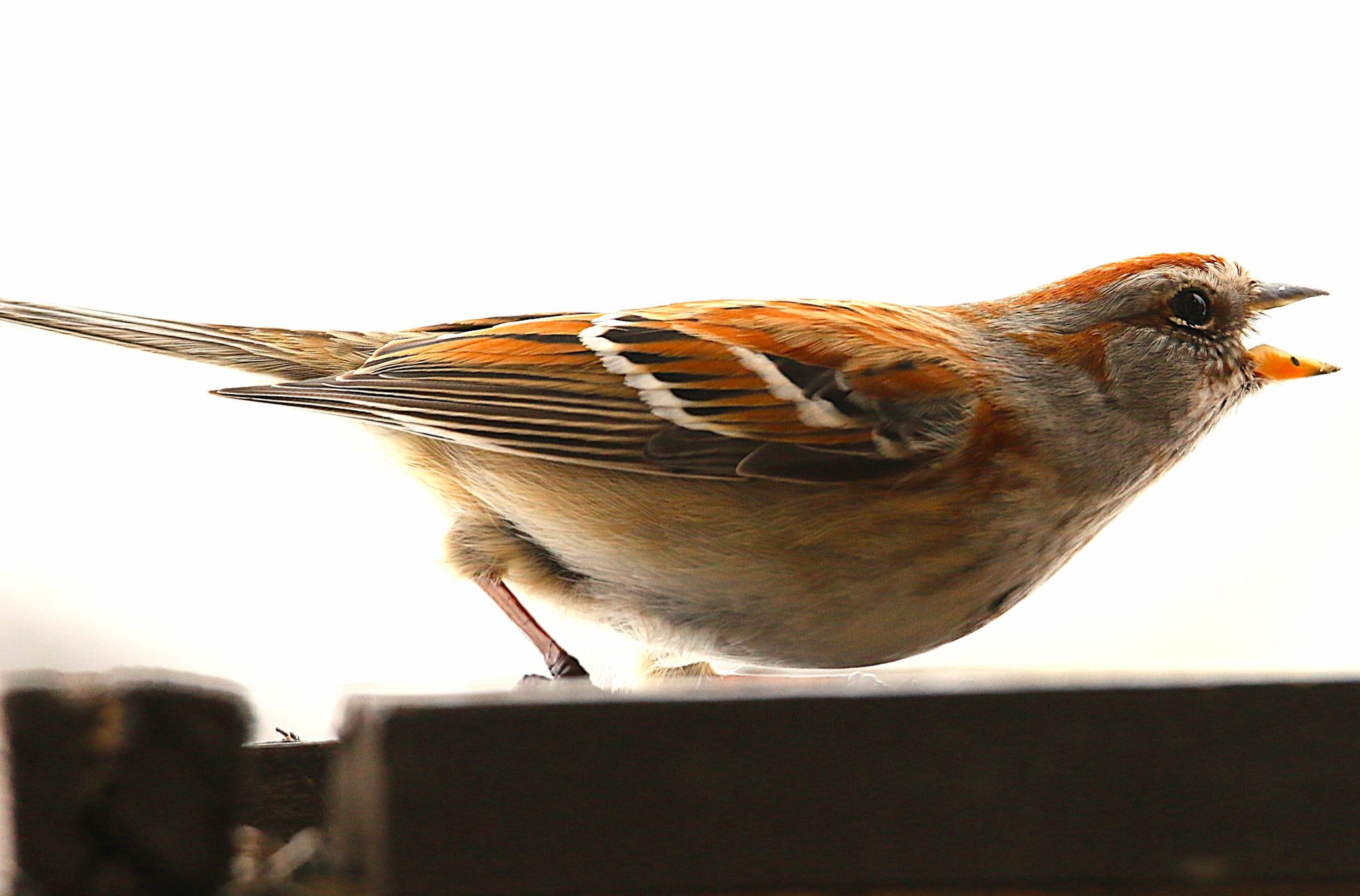 Community photo by Bill Kozar | My house in Taylorsville, Indiana. USA