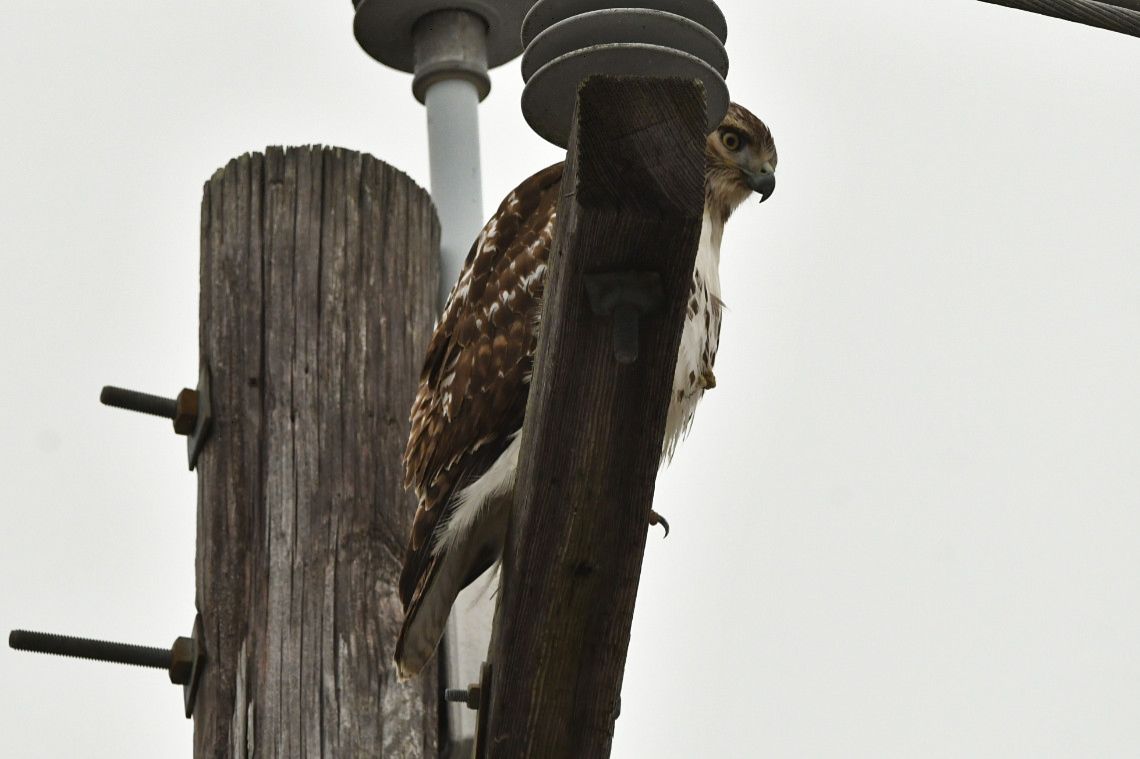 Community photo by Lorraine