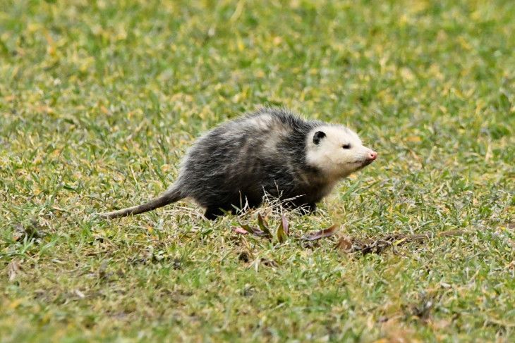 Community photo by Lorraine Boyd | Castleton, New York