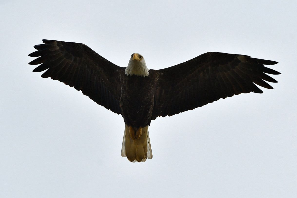 Community photo by Lorraine Boyd | Wappingers Falls, New York