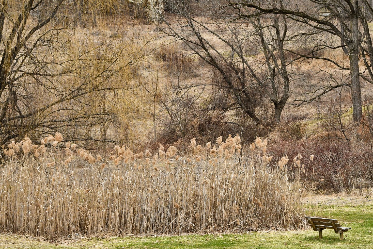 Community photo by Lorraine Boyd | Wappingers Falls, New York