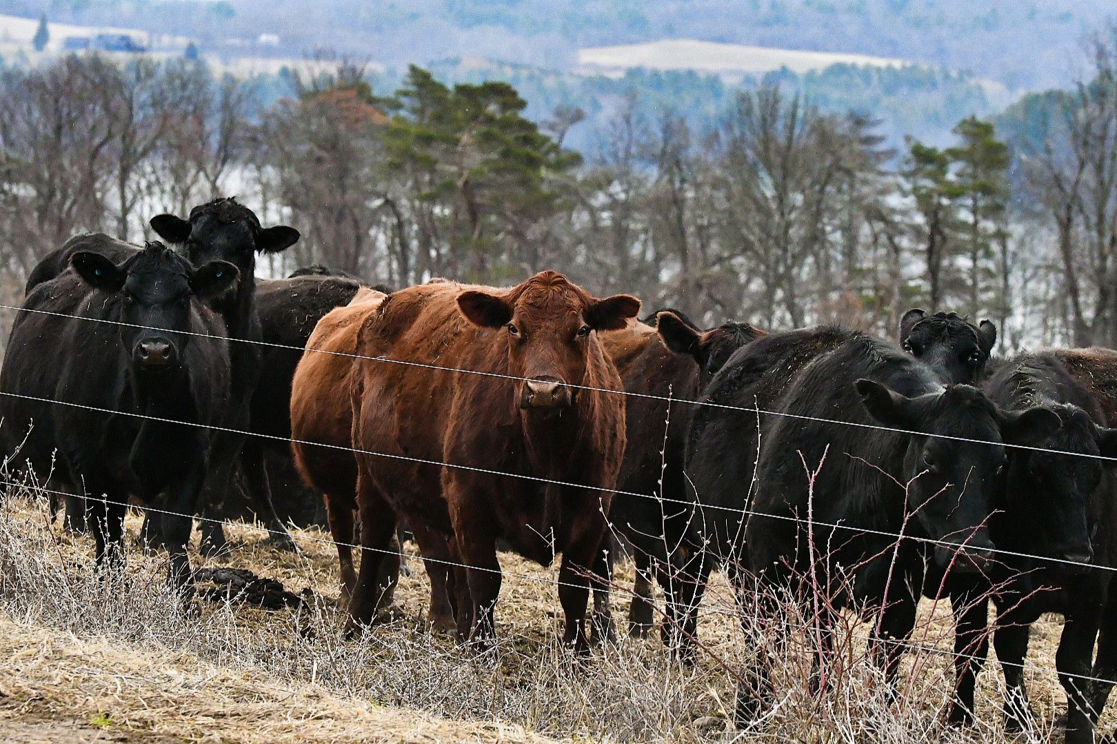 Community photo by Lorraine