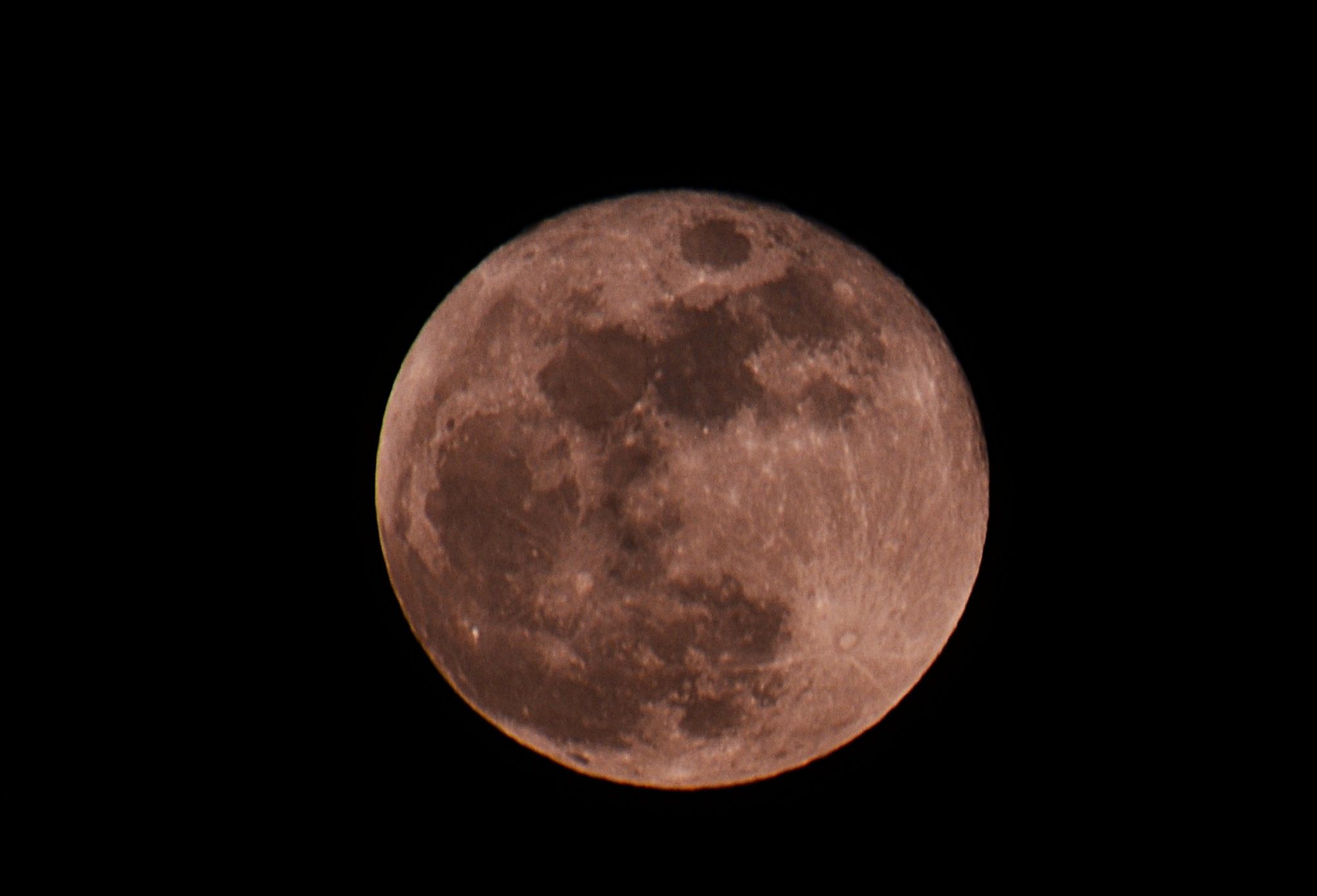 Community photo by Asha Prasad | Minnesota, USA