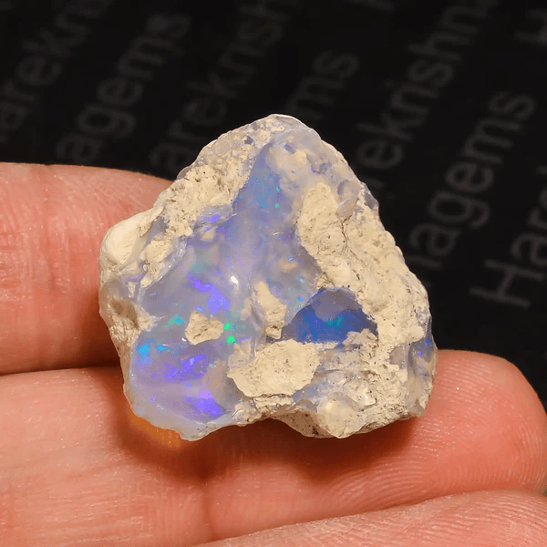 Community photo by John