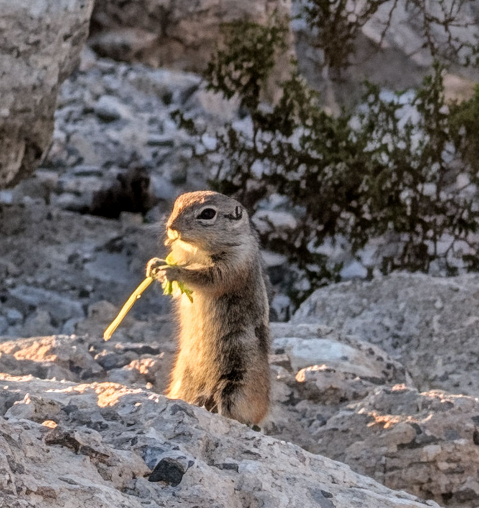 Community photo by Craig