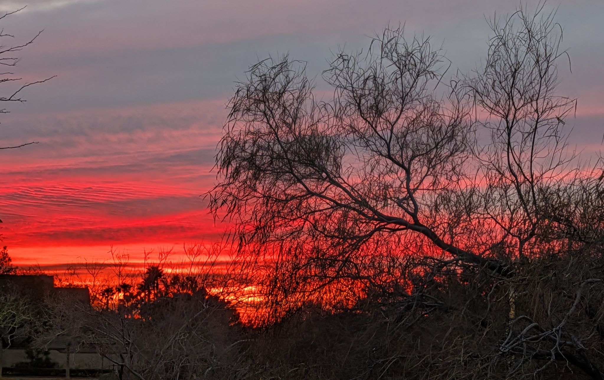 Community photo by Craig