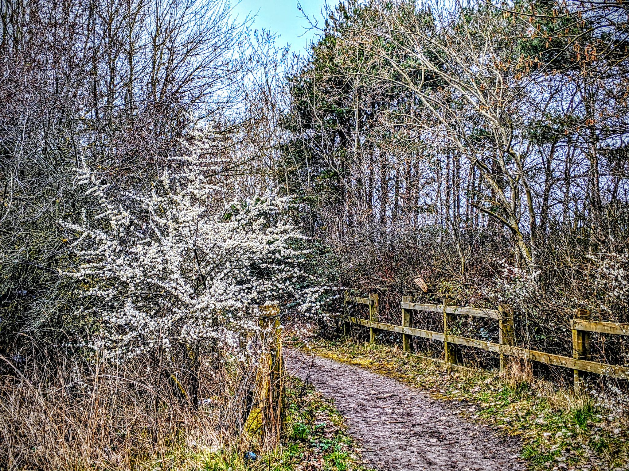 Community photo by Kevan