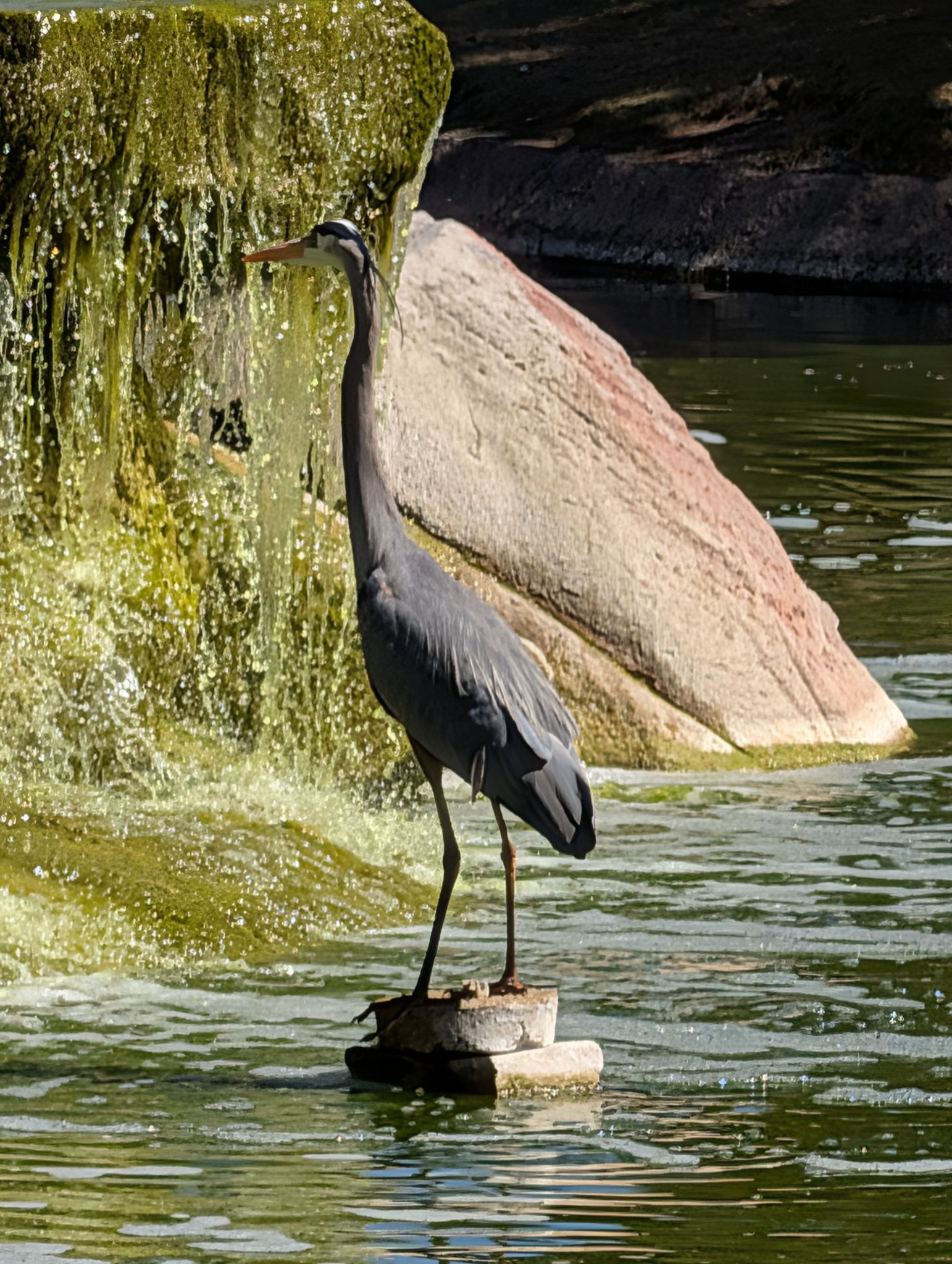 Community photo by Craig