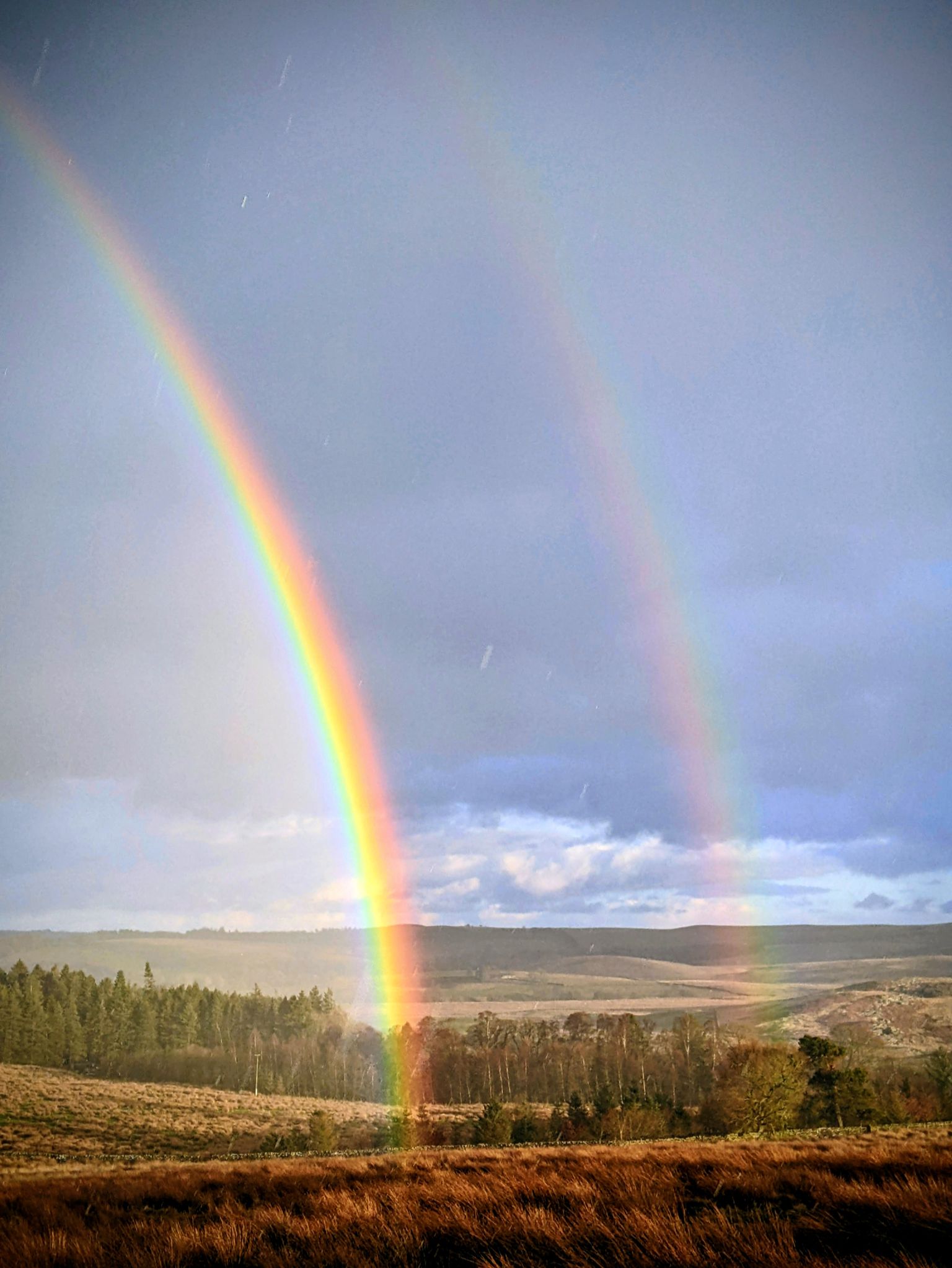 Community photo by Kevan