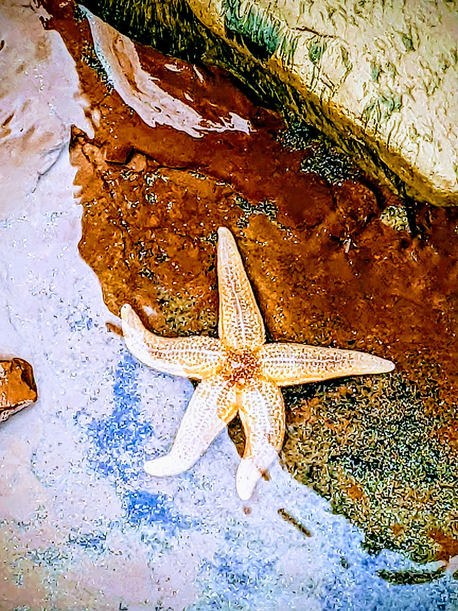 Community photo by Kevan Hubbard | Seaton Carew,Co Durham ,England .