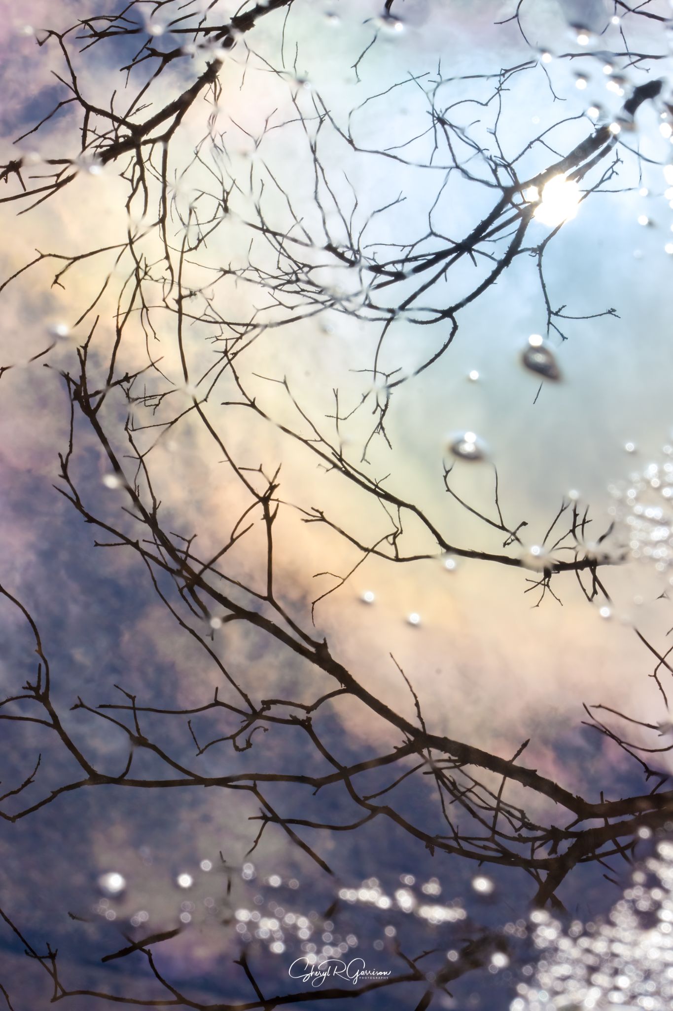 Community photo by Sheryl R Garrison | Southern Alberta, Canada