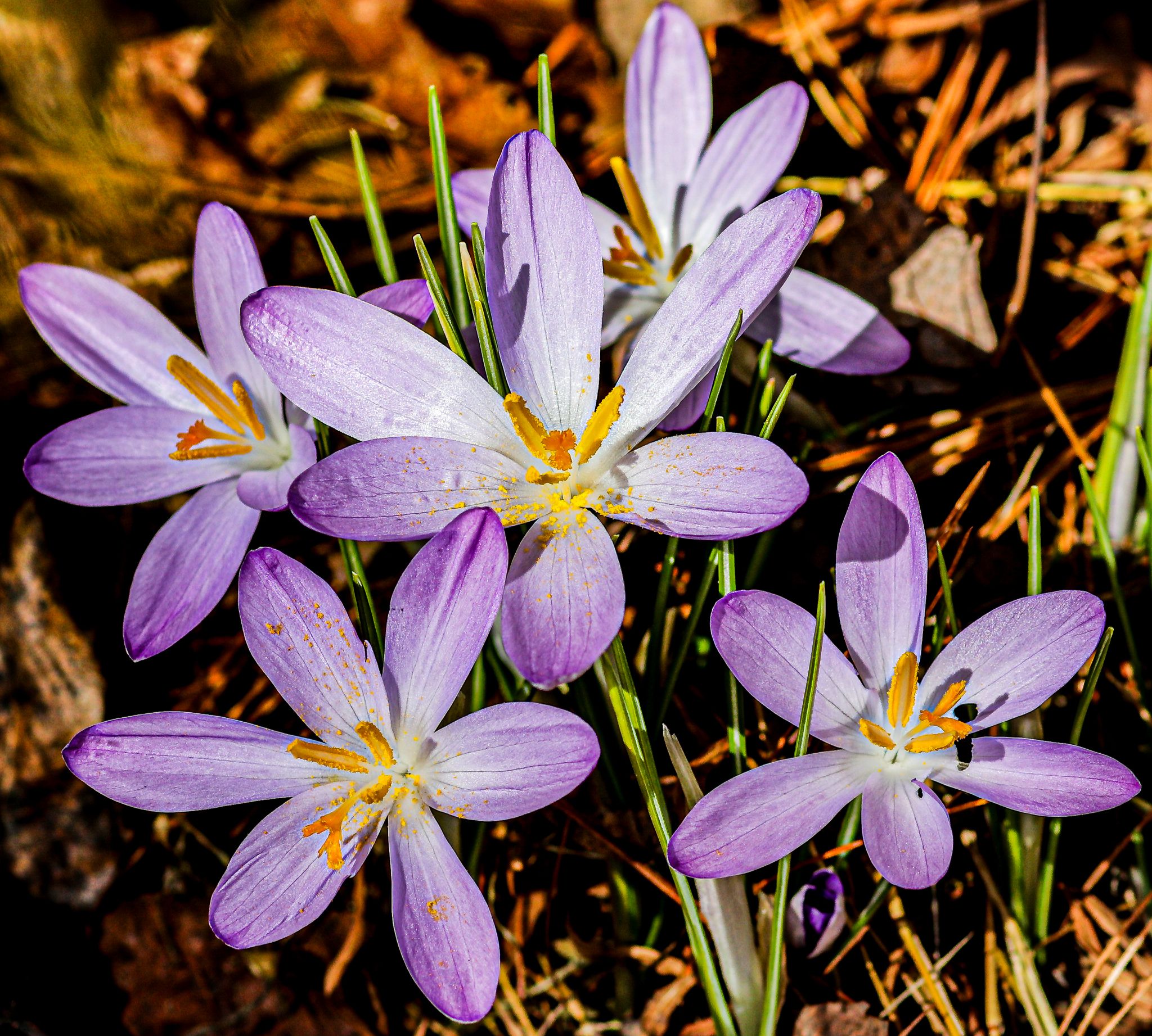 Community photo by Jean