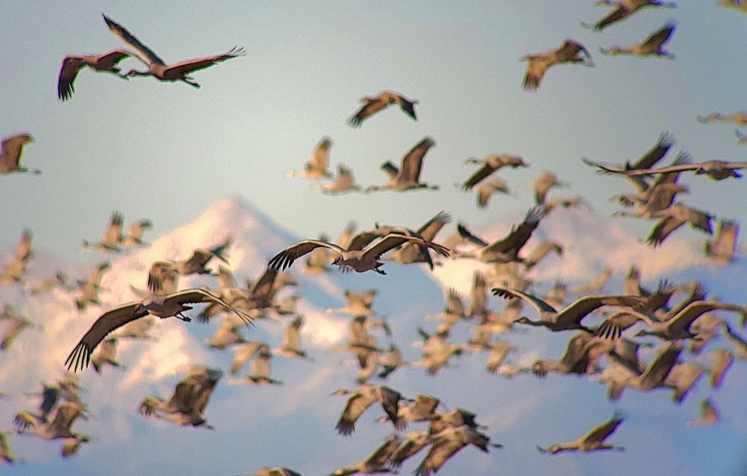 Community photo by Les