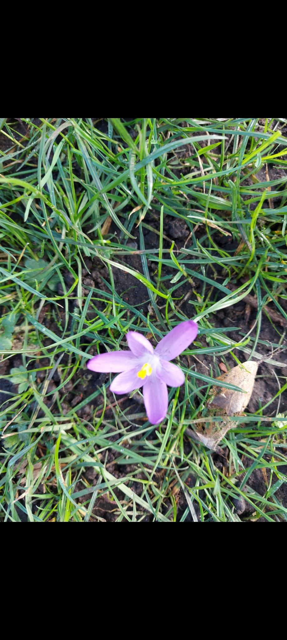 Community photo by Anne