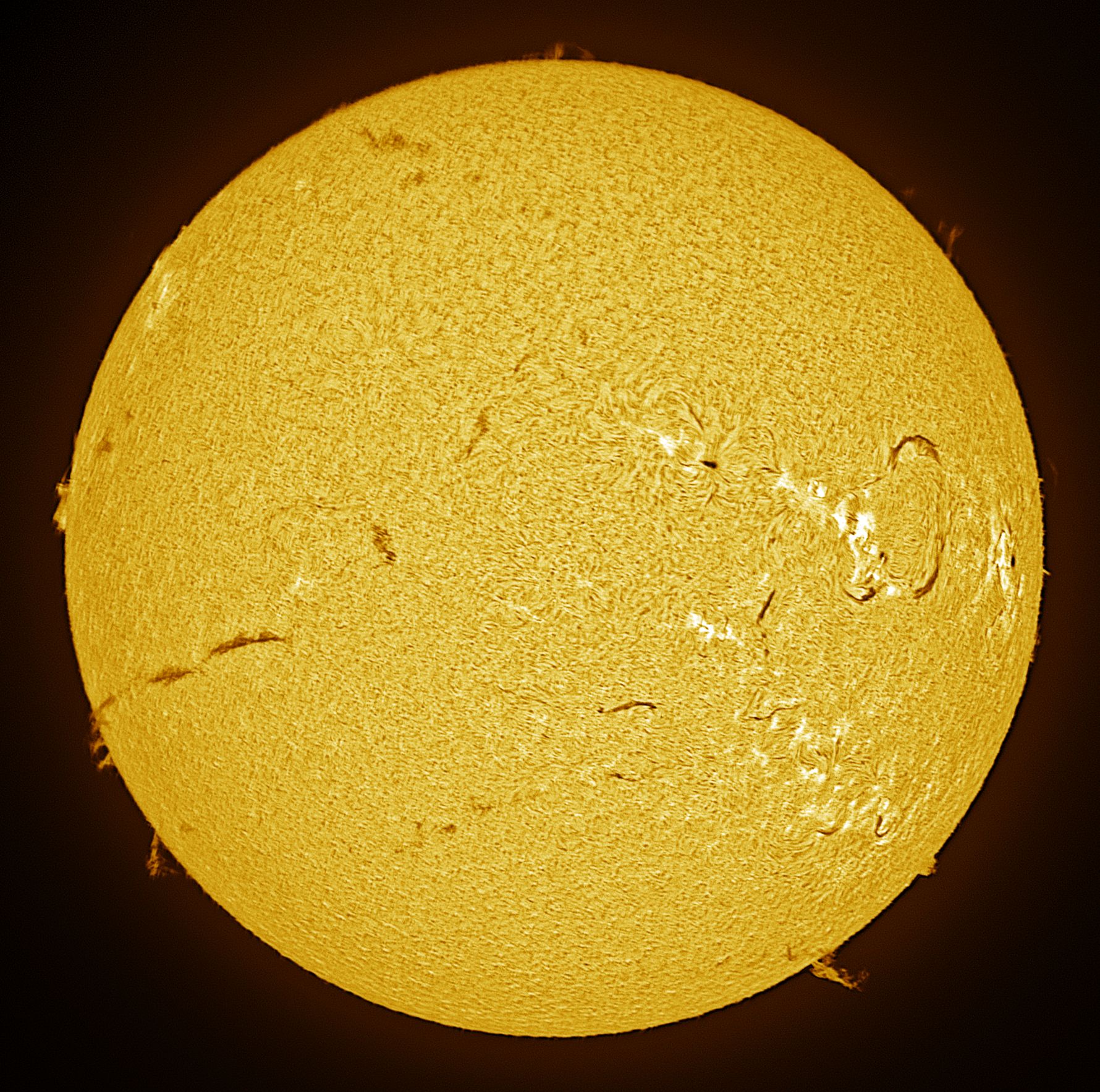 Community photo by Jim Militello | Tucson, Arizona  USA