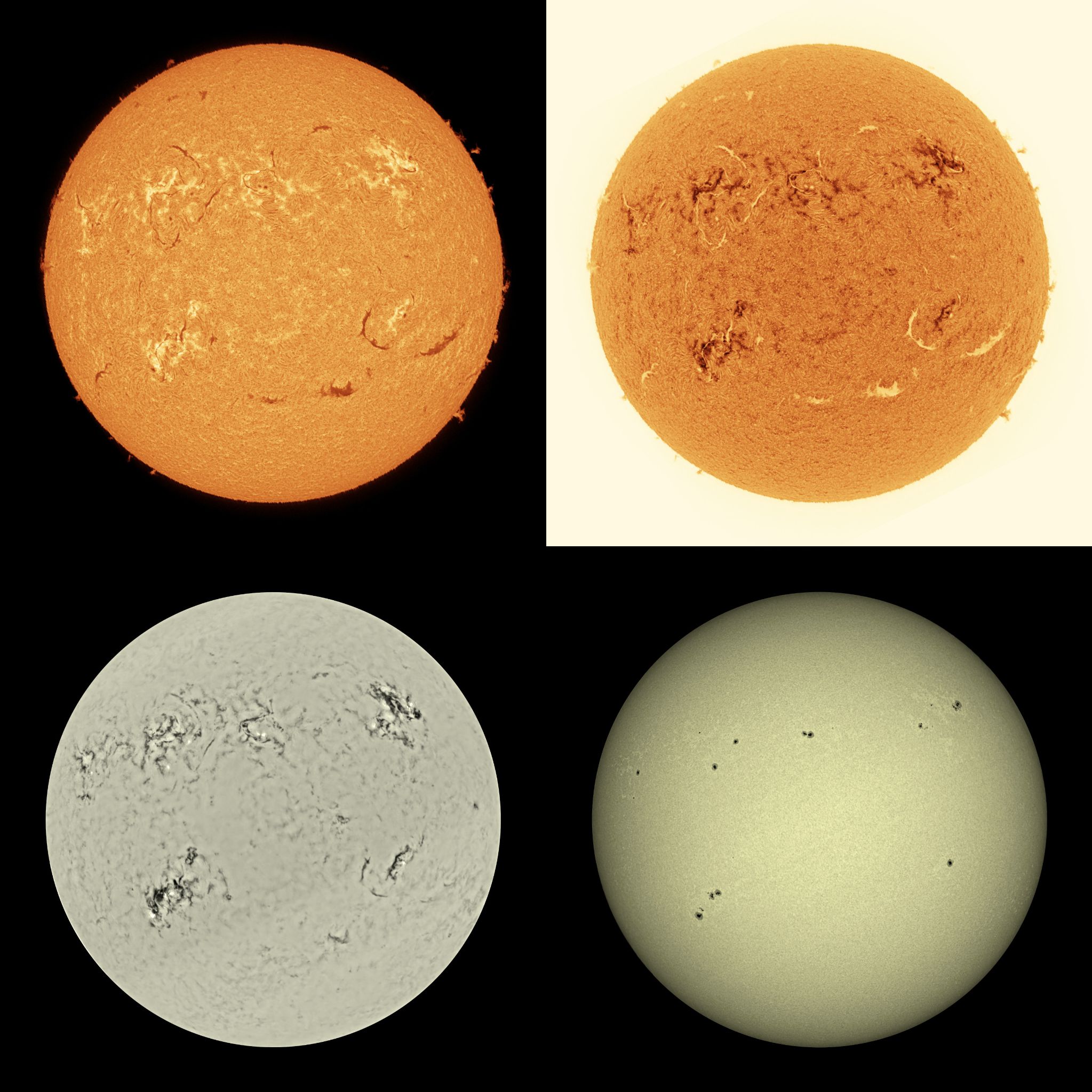 Community photo by Mario Rana | Hampton, Virginia