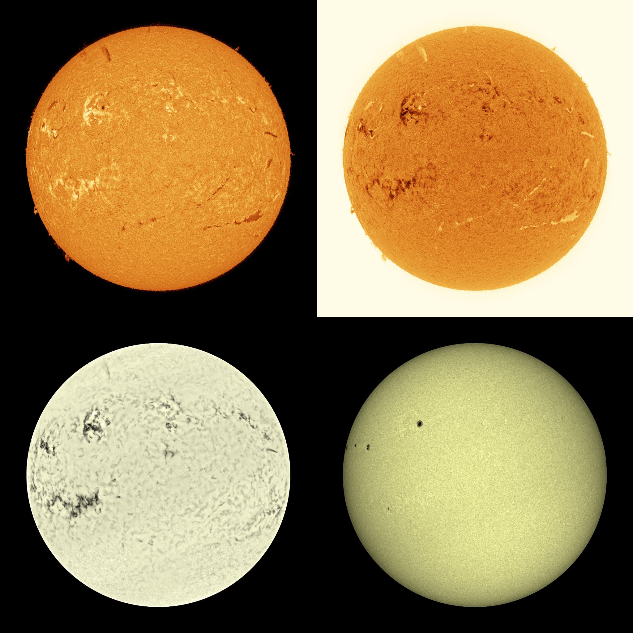 Community photo by Mario