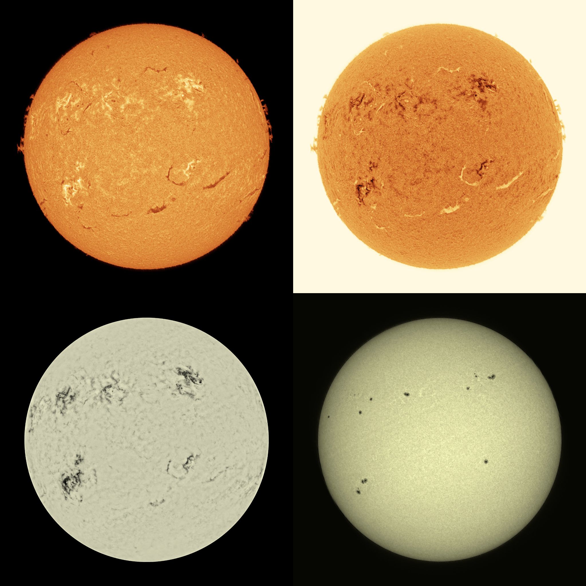 Community photo entitled  by Mario Rana on 03/29/2026 at Hampton, Virginia