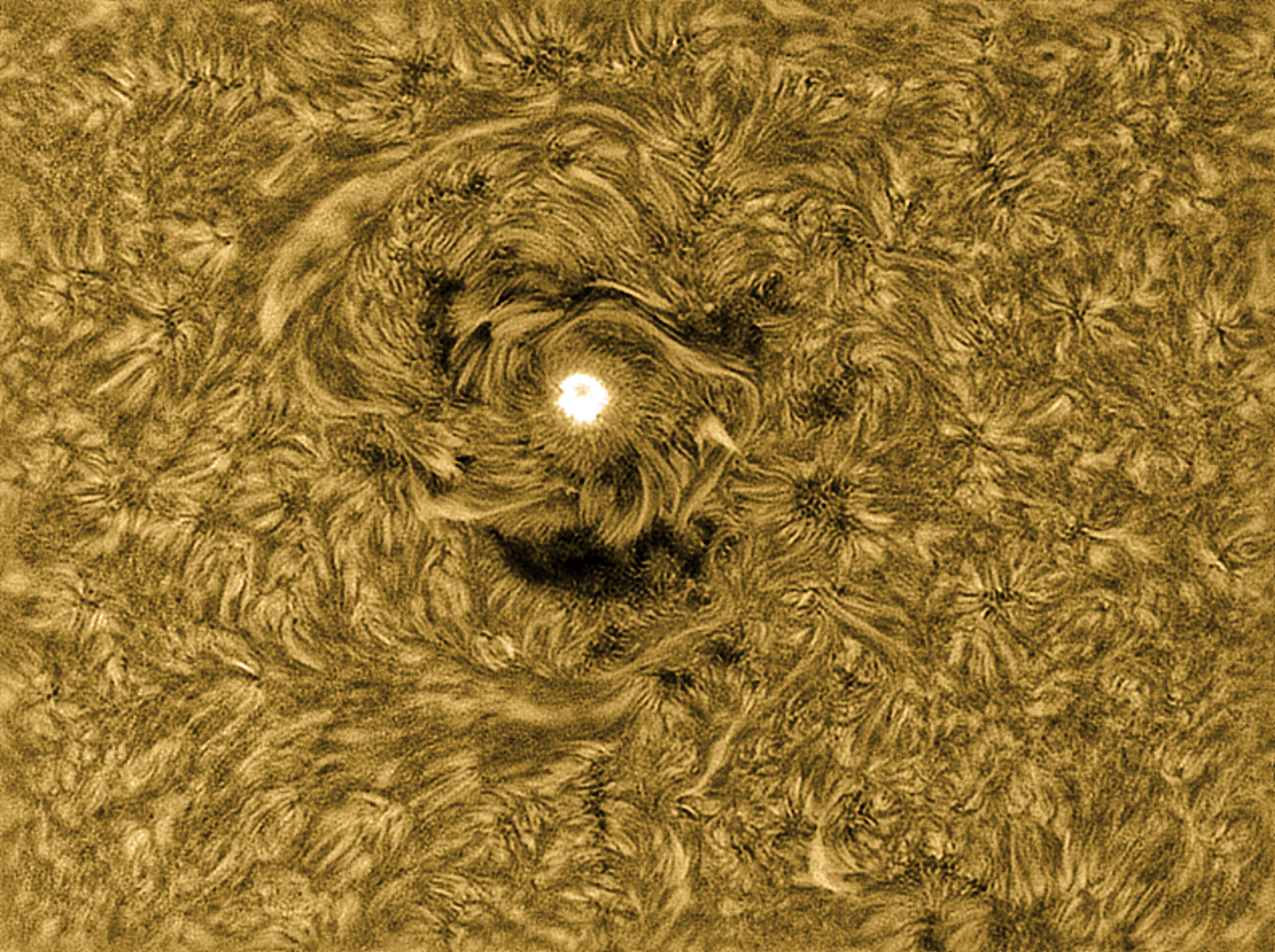 Community photo by Anthony Faulkner | Tucson, AZ.