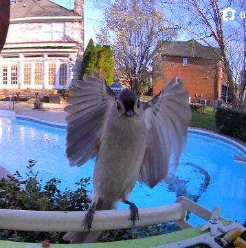 Community photo by Mark Wralstad | Virginia Beach, VA, USA