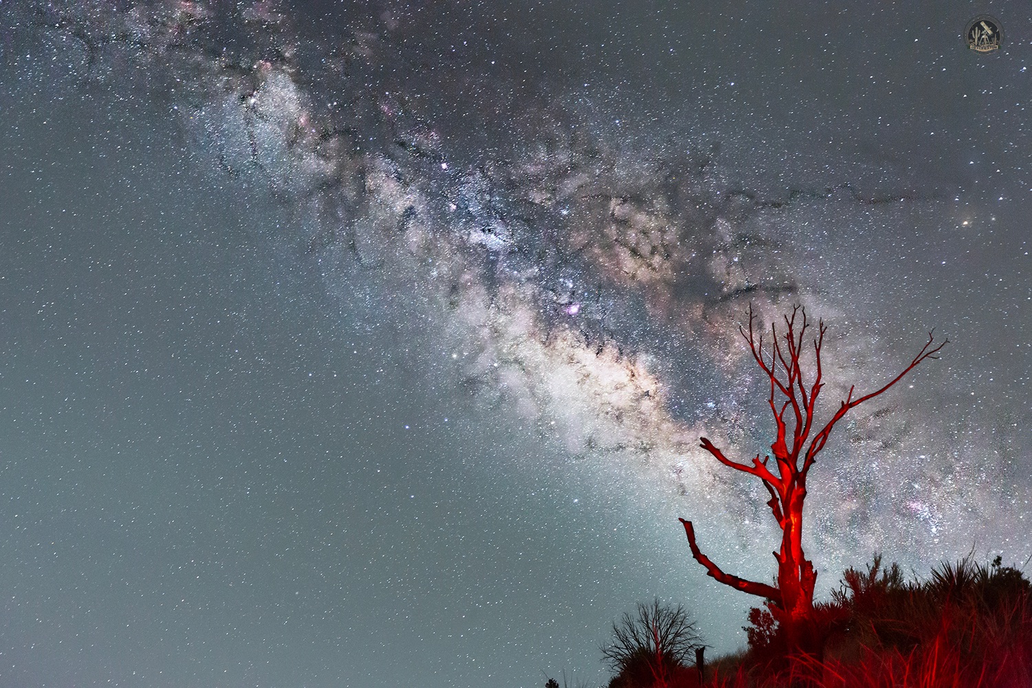 Community photo by Jelieta Walinski Ph.D | Montezuma Pass, Coronado National Memorial, AZ, USA