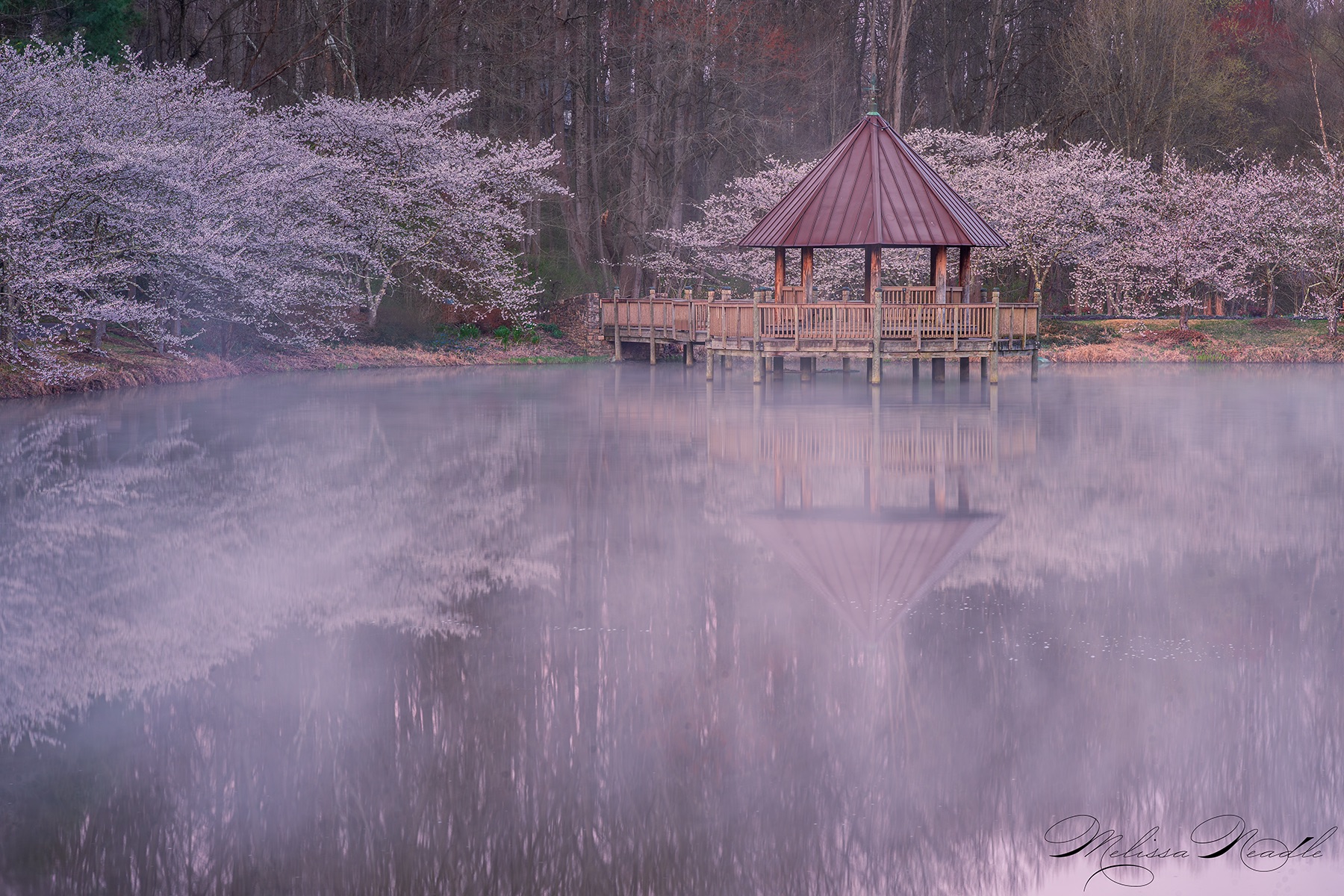 Community photo by Melissa