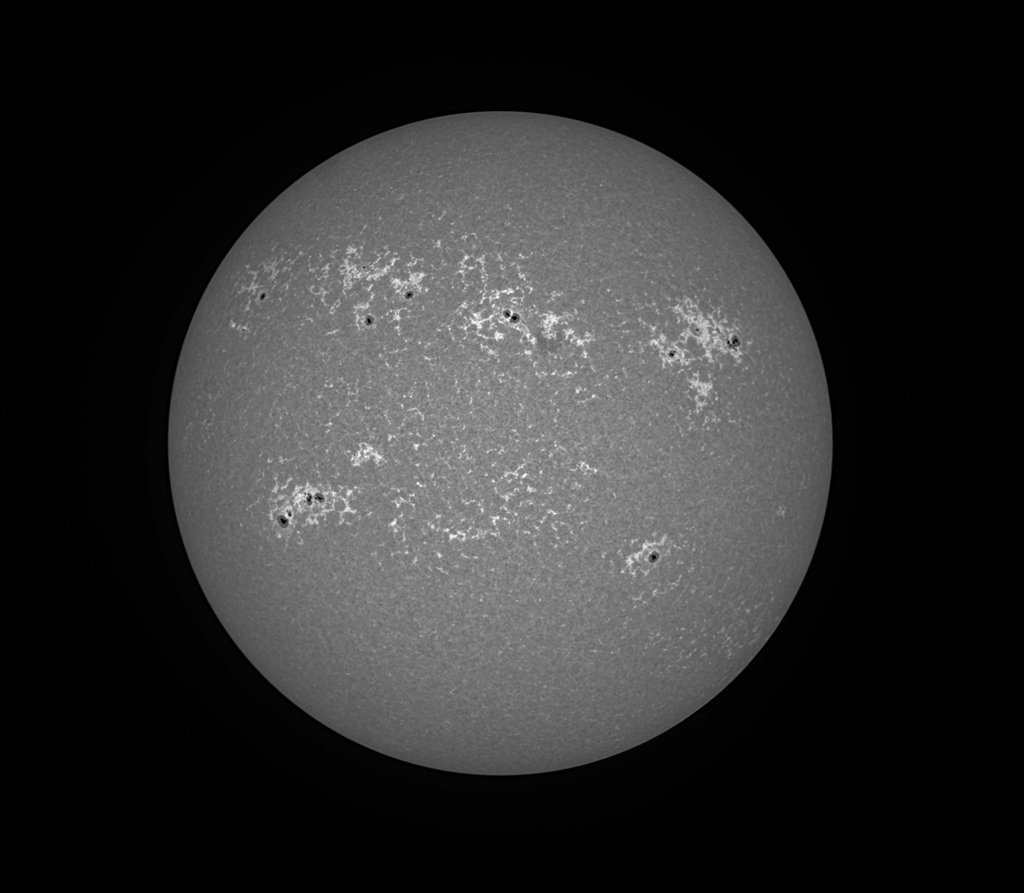 Community photo by Eliot Herman | Tucson AZ