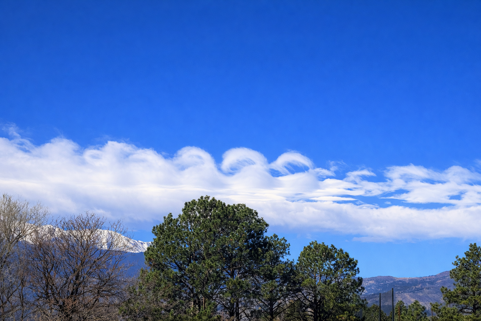 Community photo by Tawnya Silloway | Colorado Springs Colorado