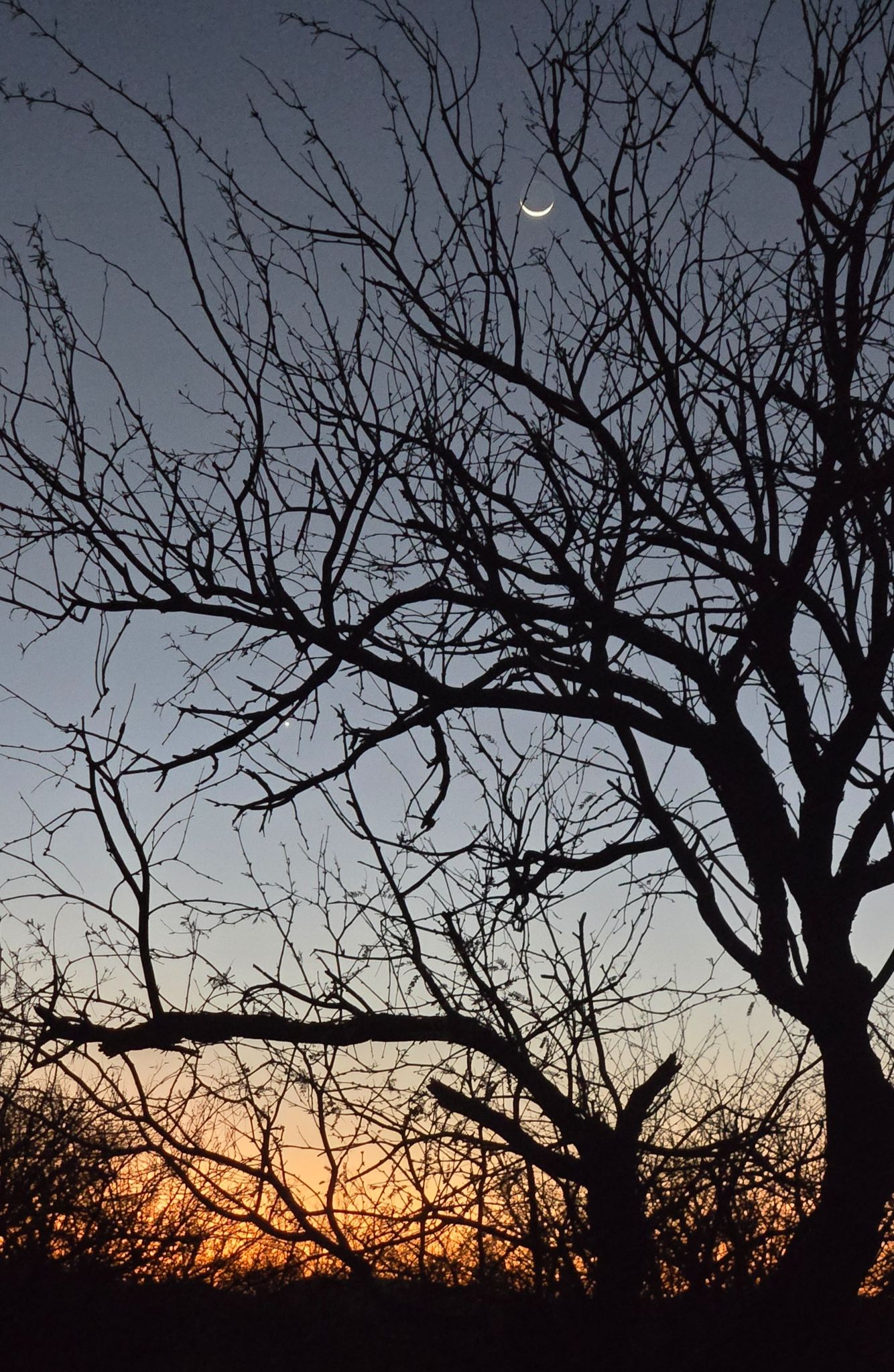 Community photo by Gaelyn Olmsted | Buenos Aries NWR AZ